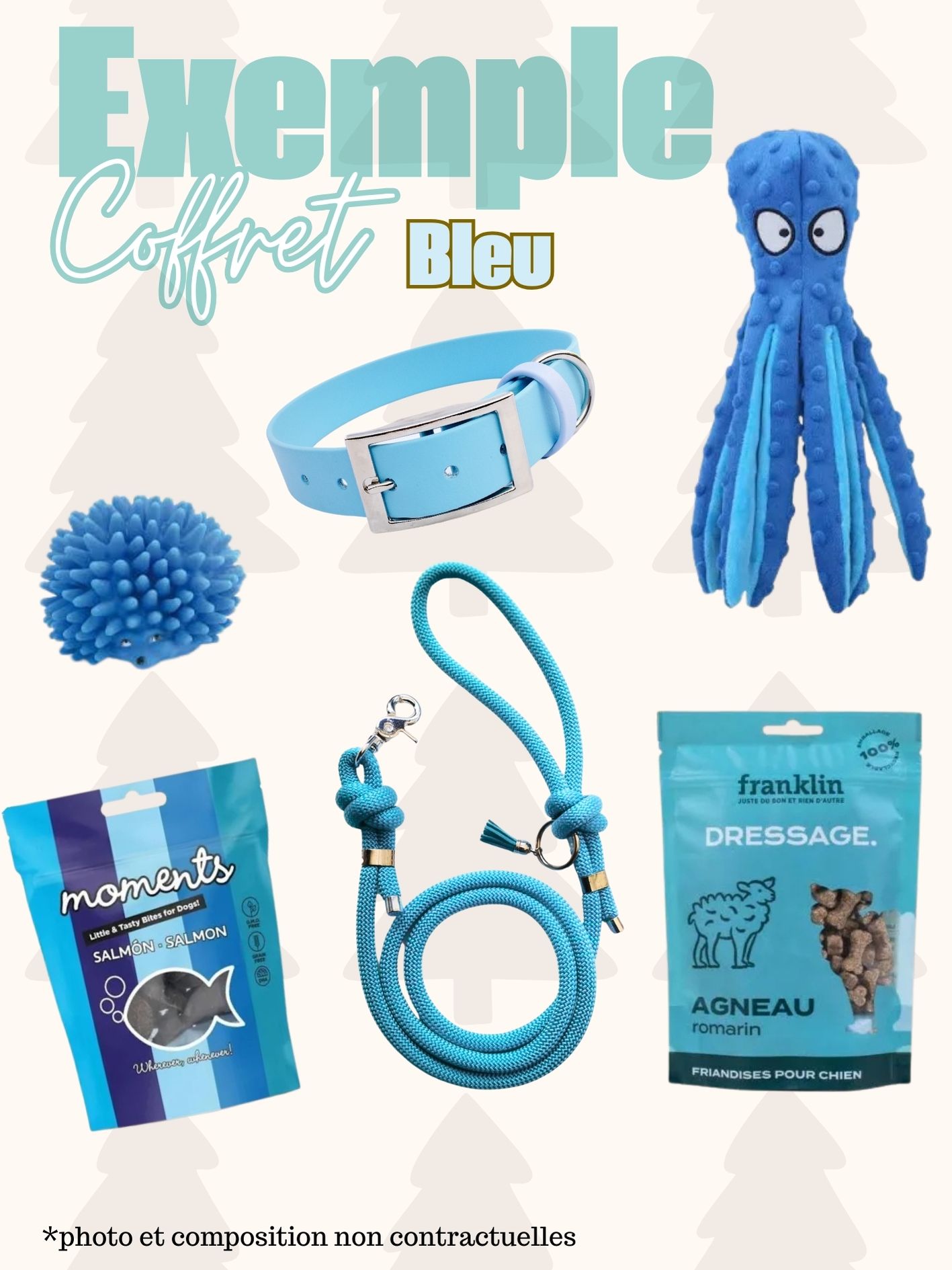 cadeau de noel pour chien