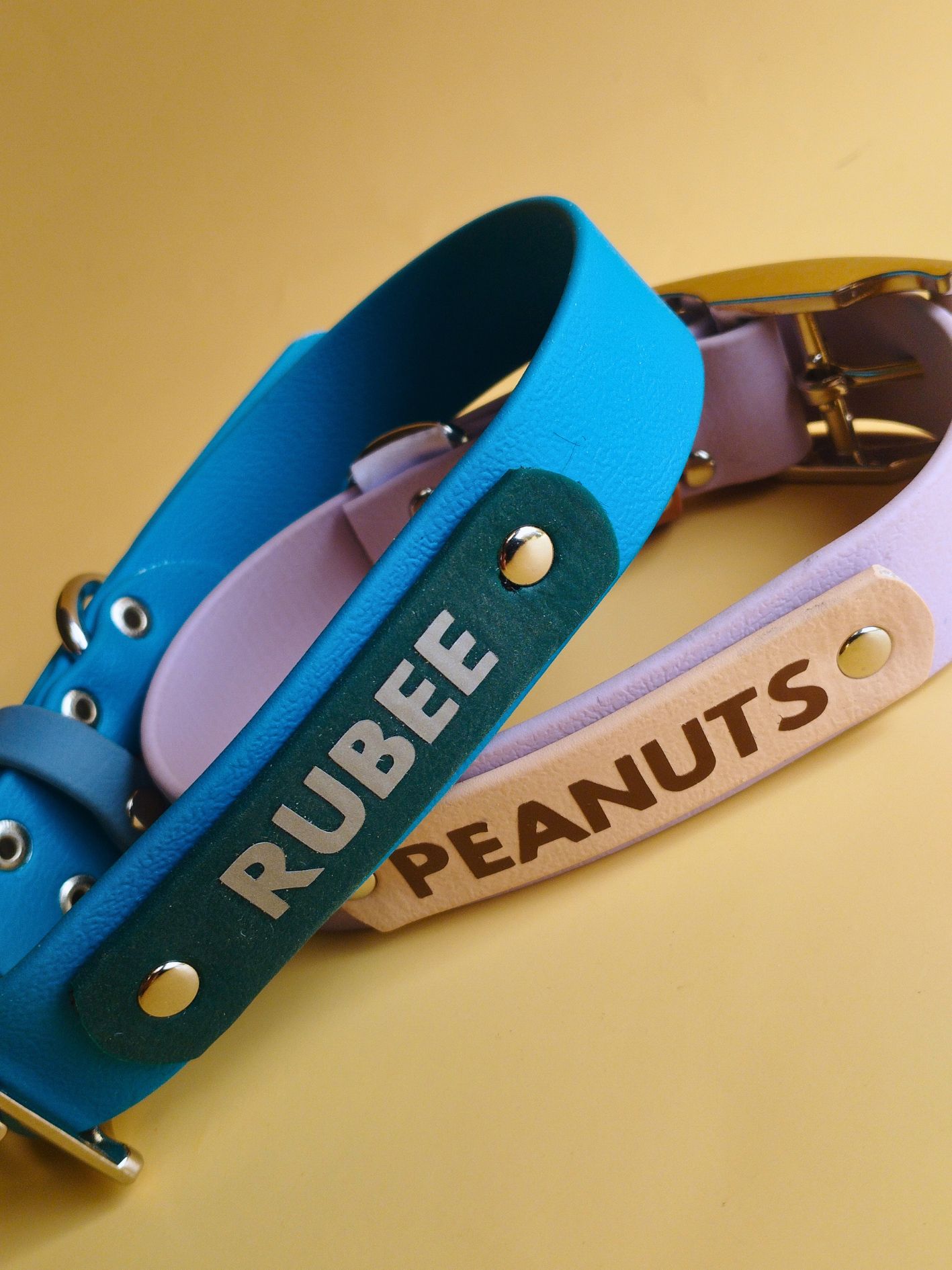 collier personnalisé stylidog