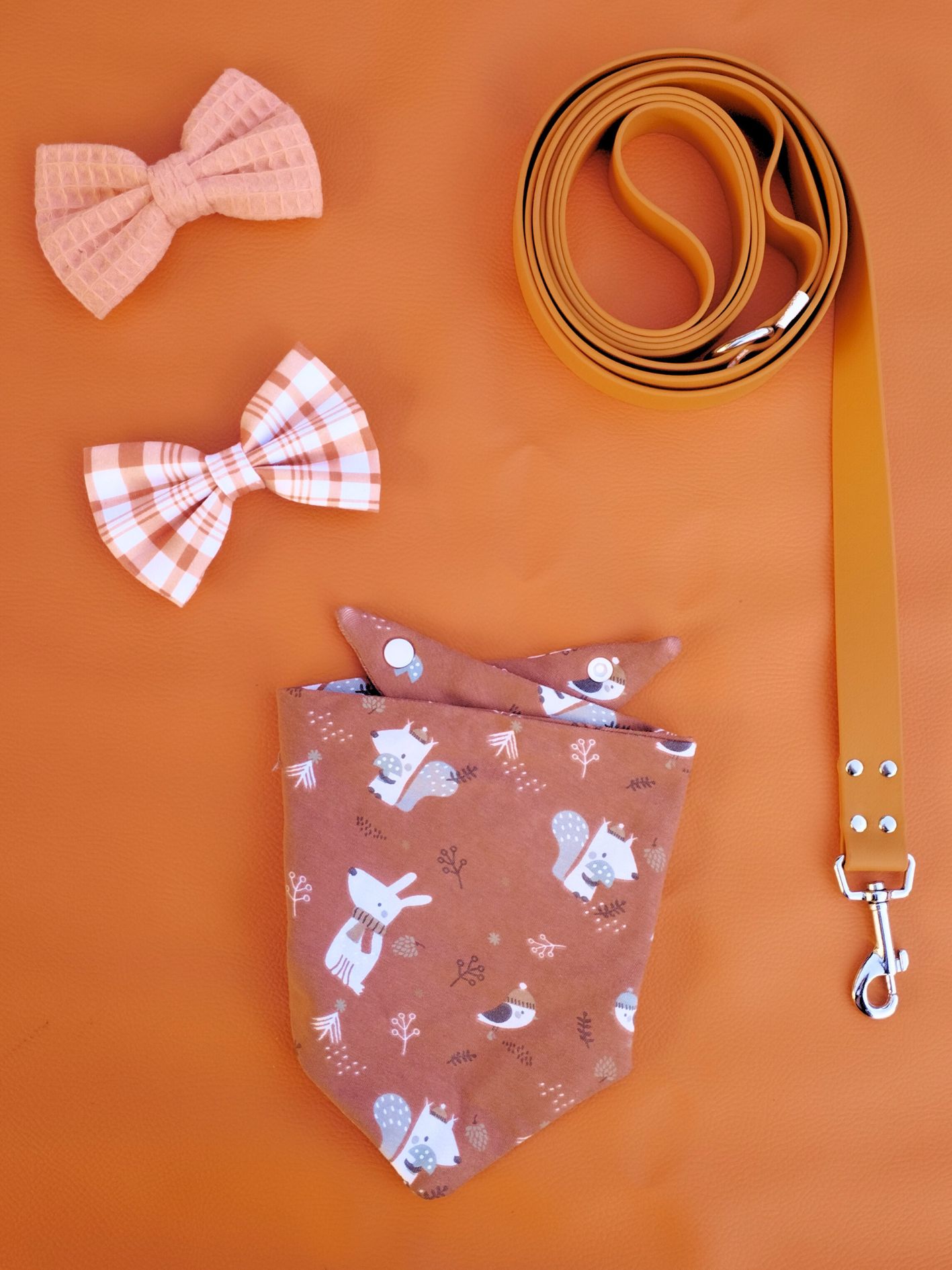 noeud papillon stylidog