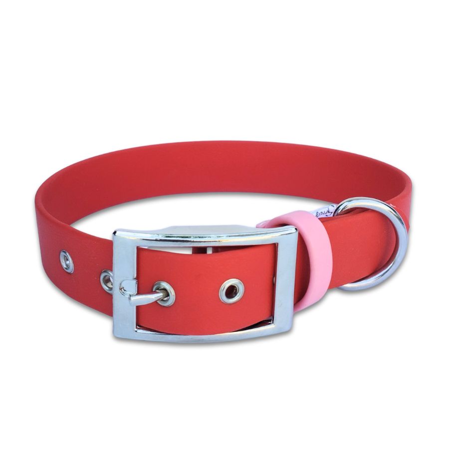 collier biothane stylidog