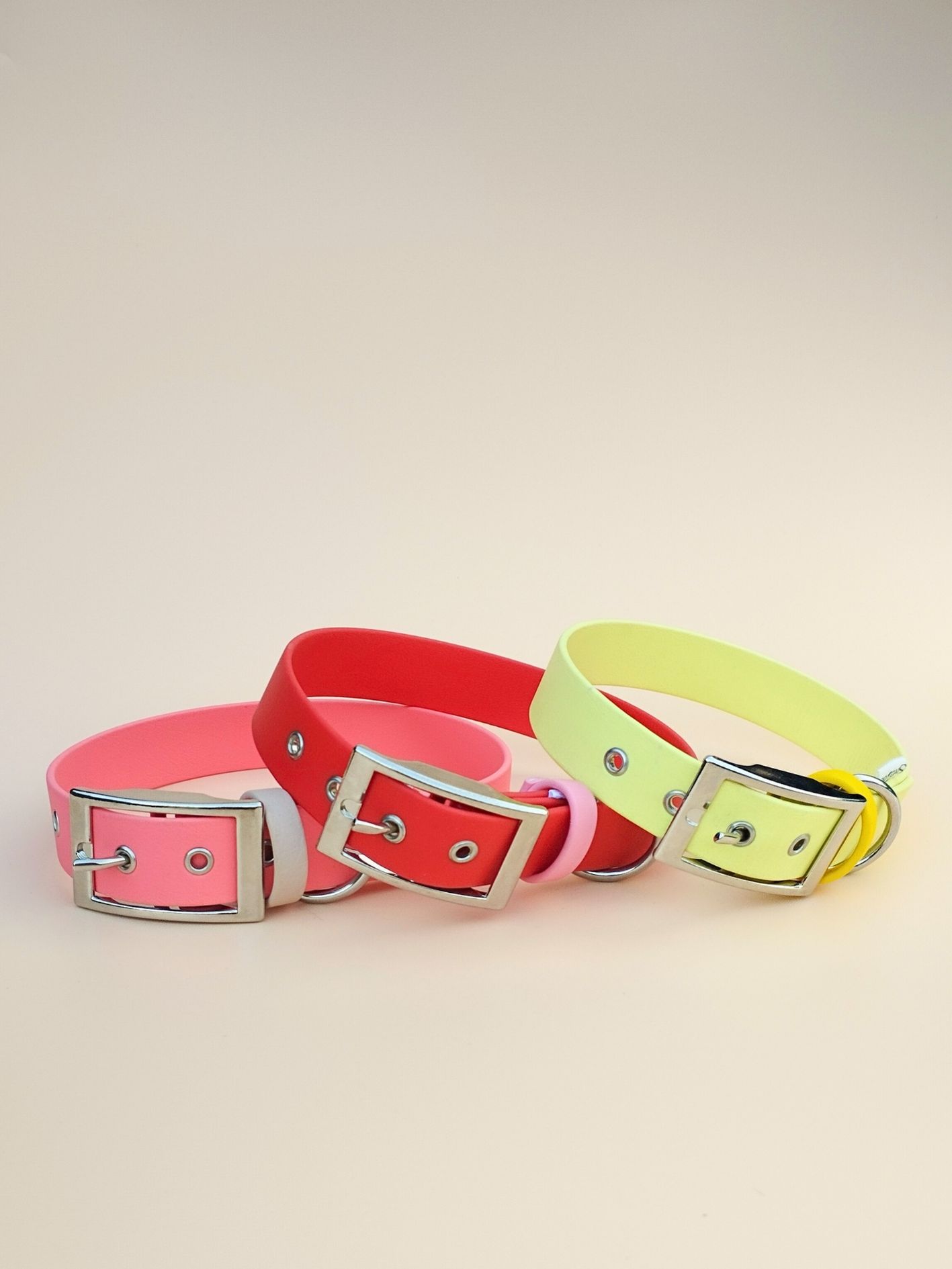 Stylidog collier