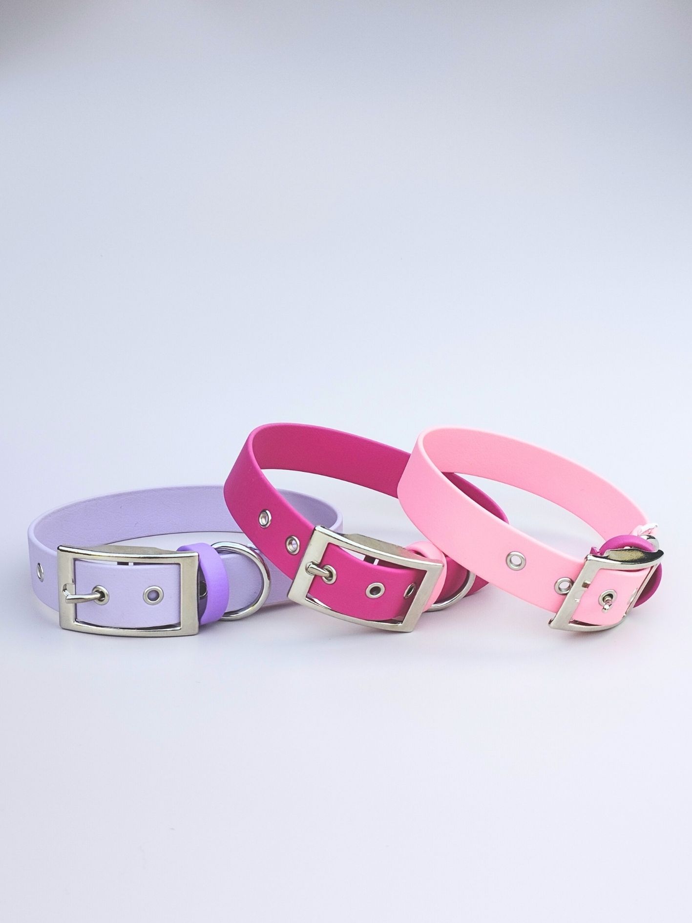 Stylidog collier