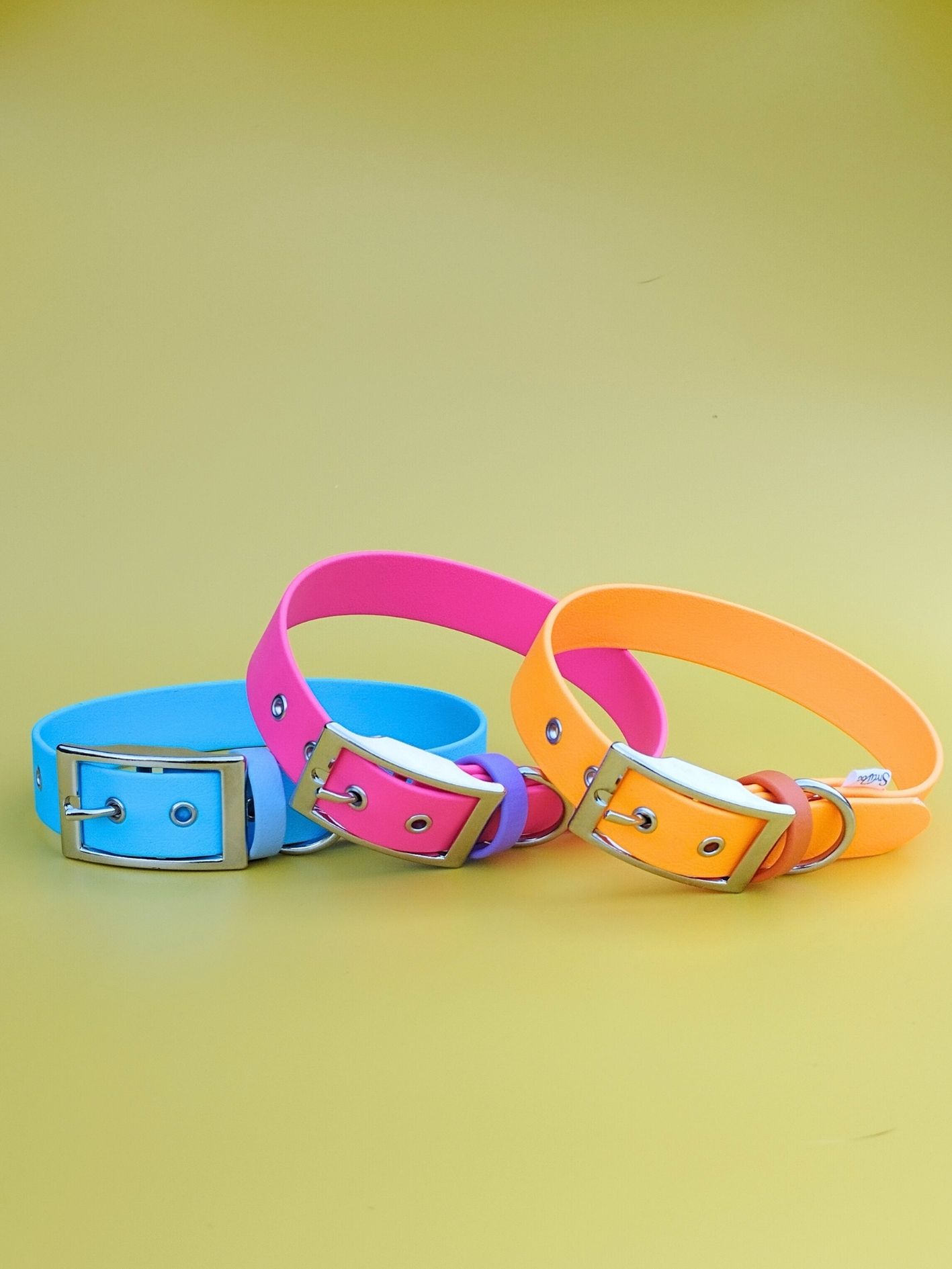 Stylidog collier