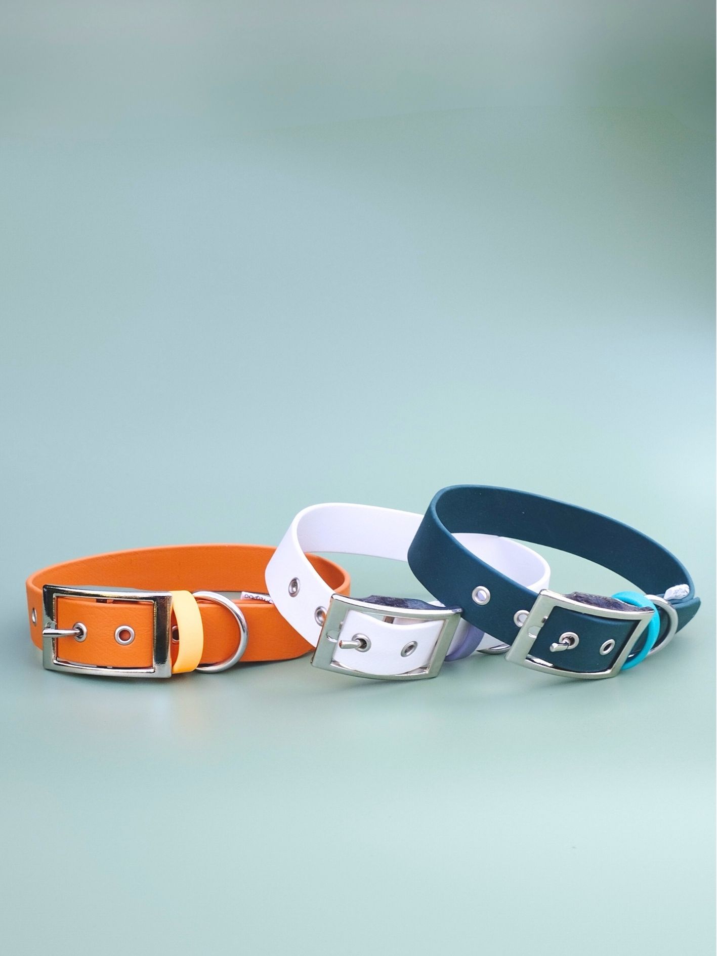 Stylidog collier