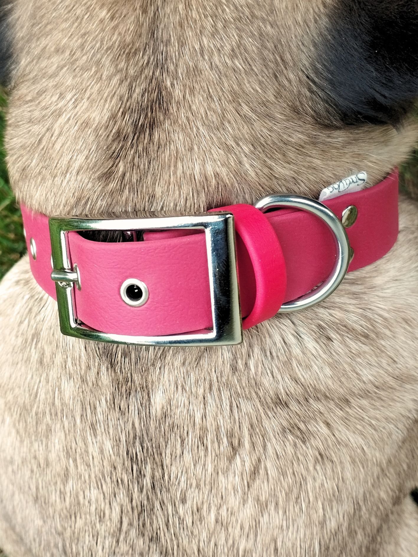 cherry sweet stylidog