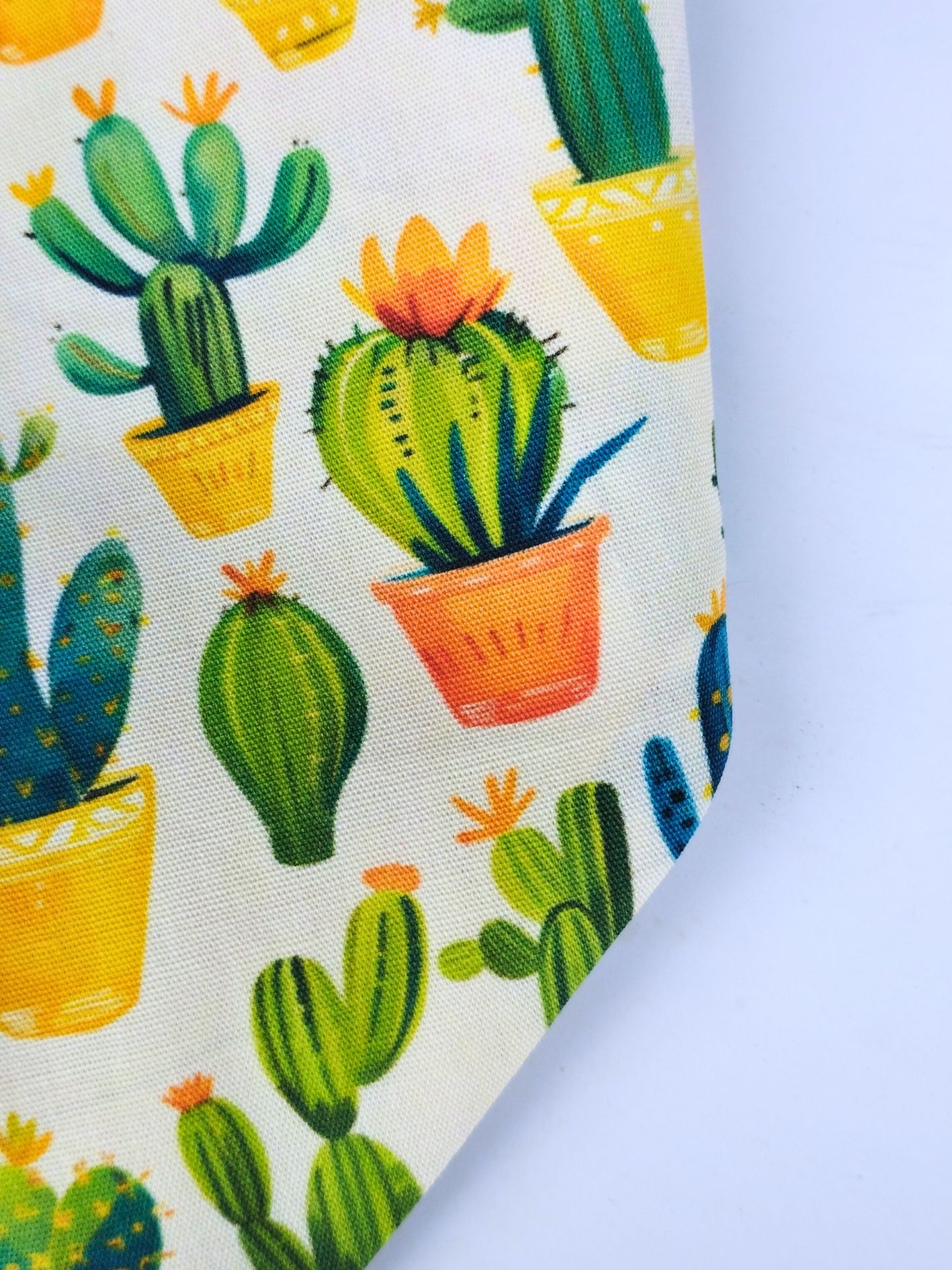 bandana chien cactus