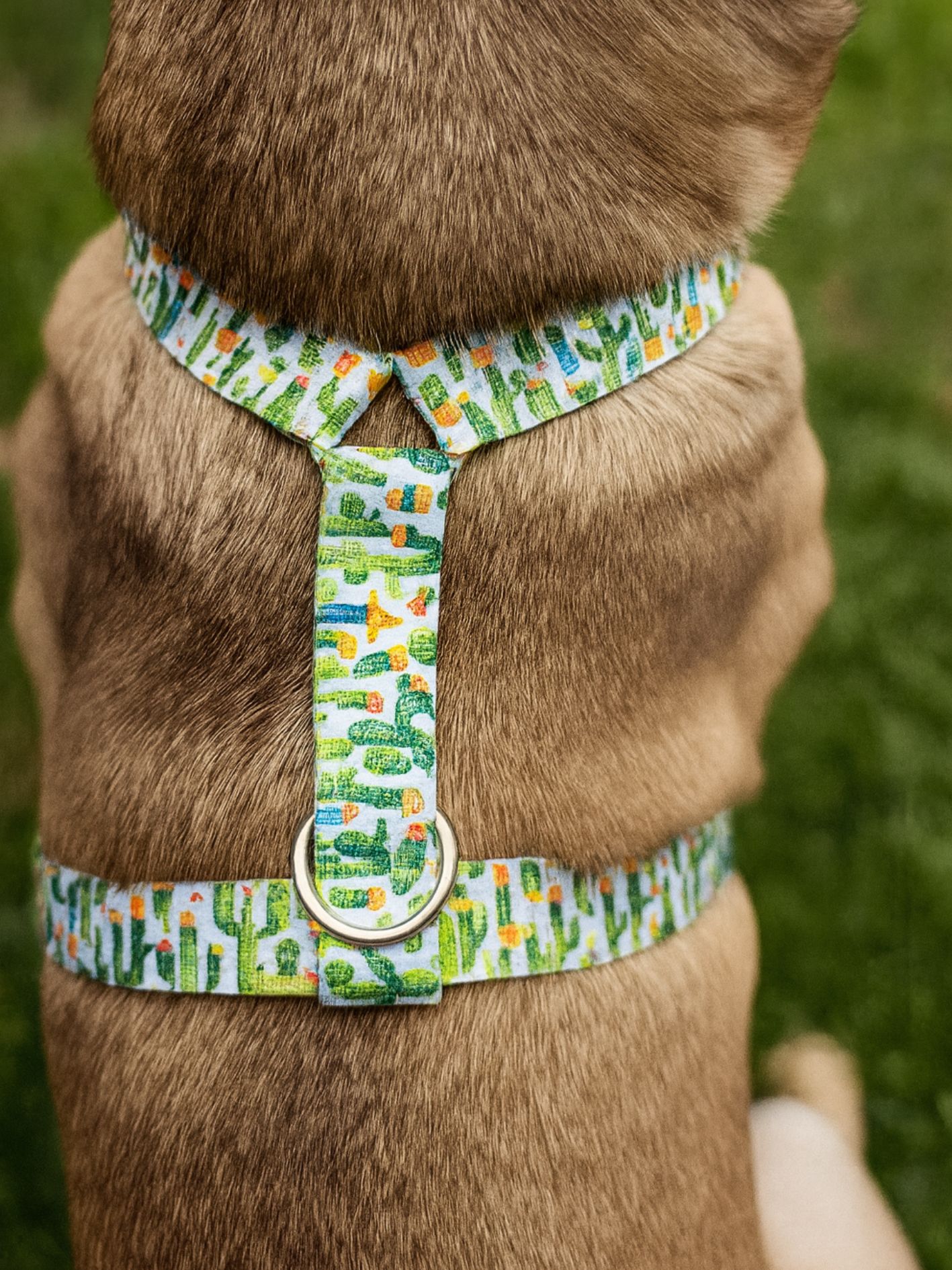 Harnais pour chien Cactus Stylidog