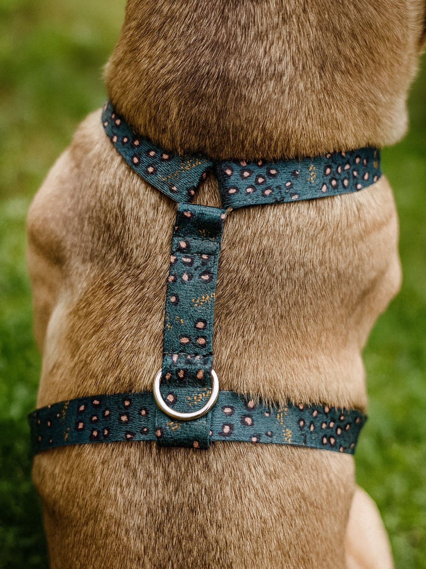 Harnais pour chien motif léopard vert Stylidog
