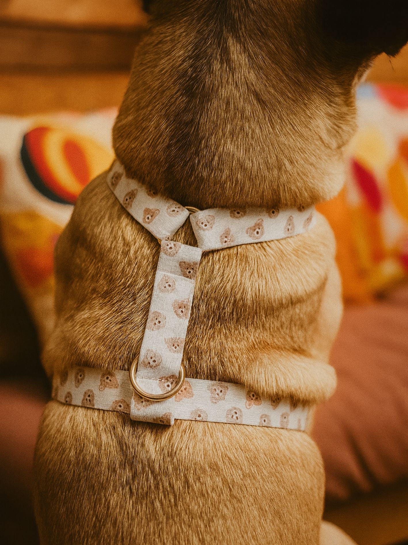 Harnais pour chien motif tête dours Stylidog