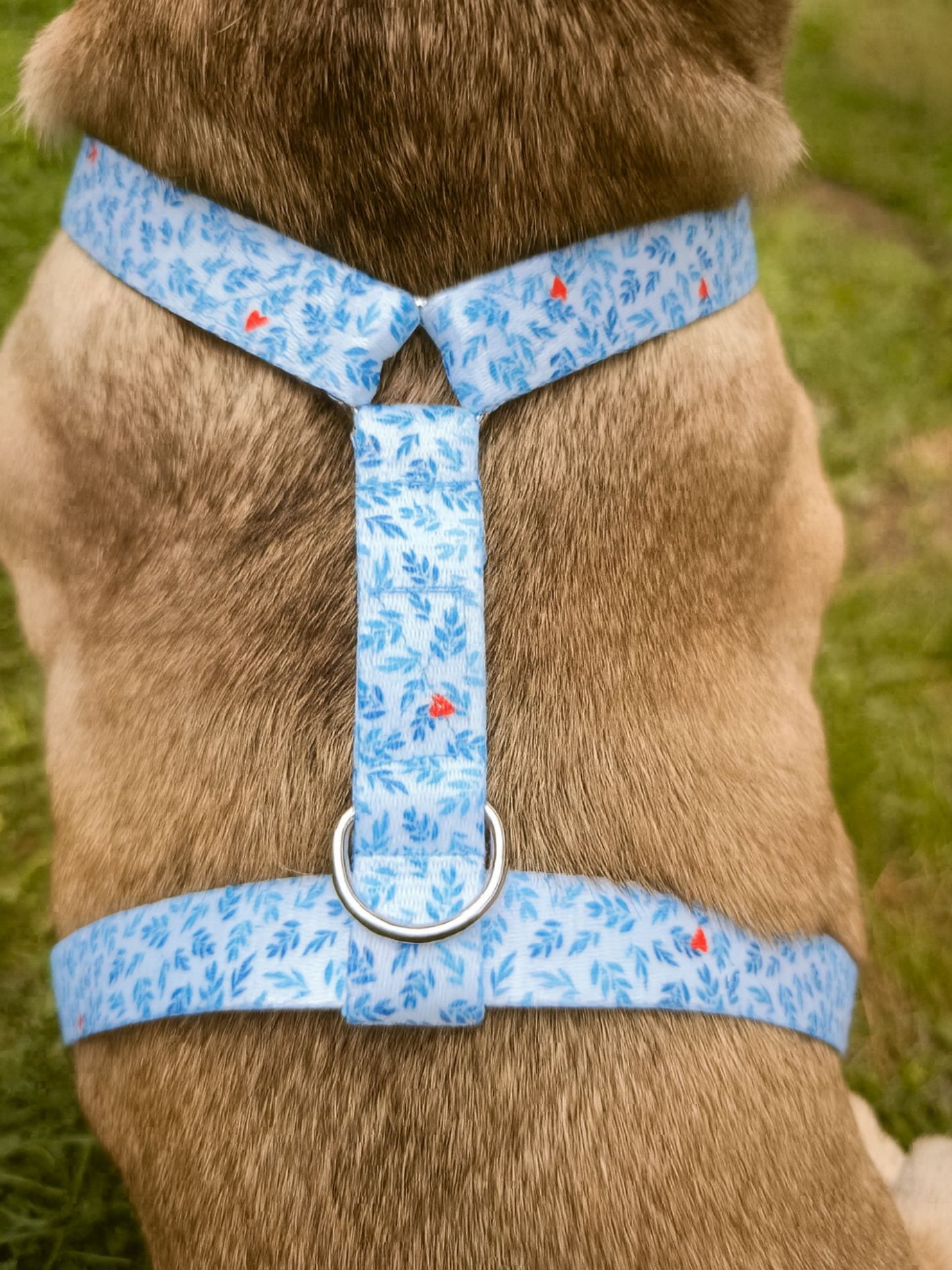Harnais pour chien motif feuillage bleu Stylidog