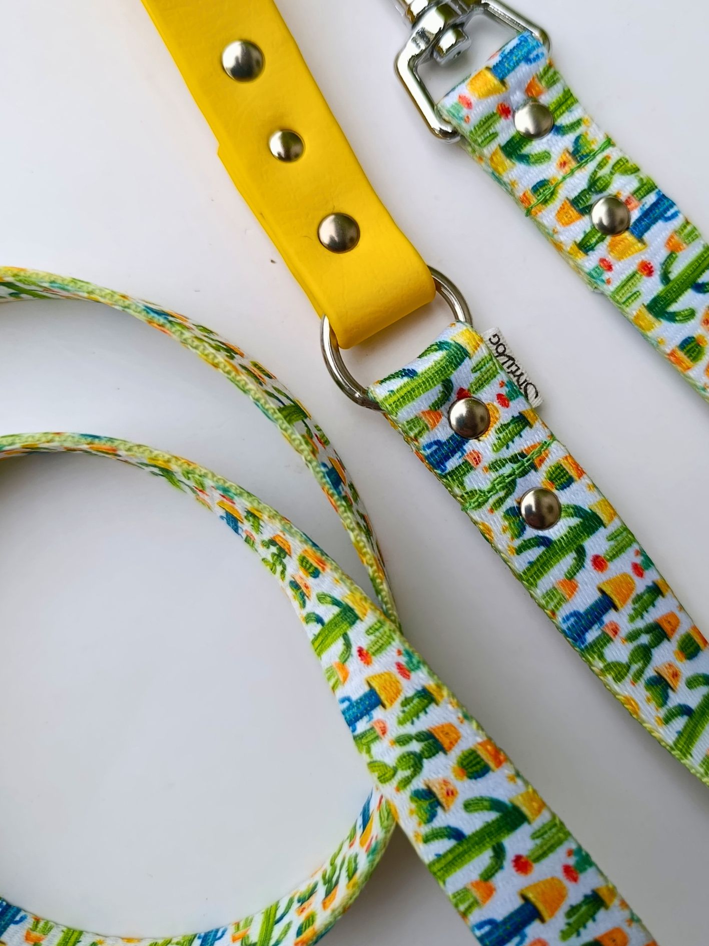 Laisse pour chien cactus Stylidog