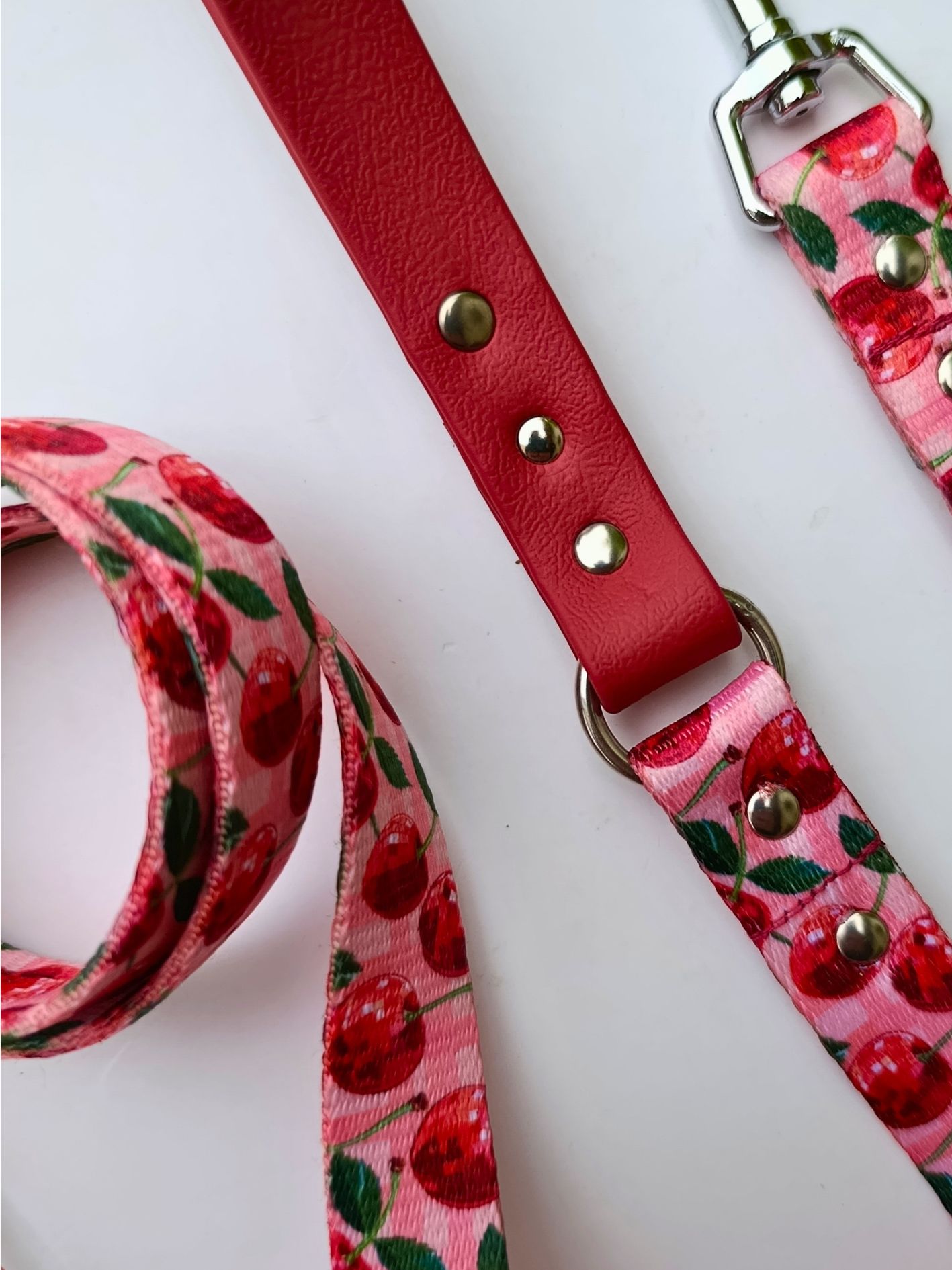 Laisse pour chien motif cerise disco