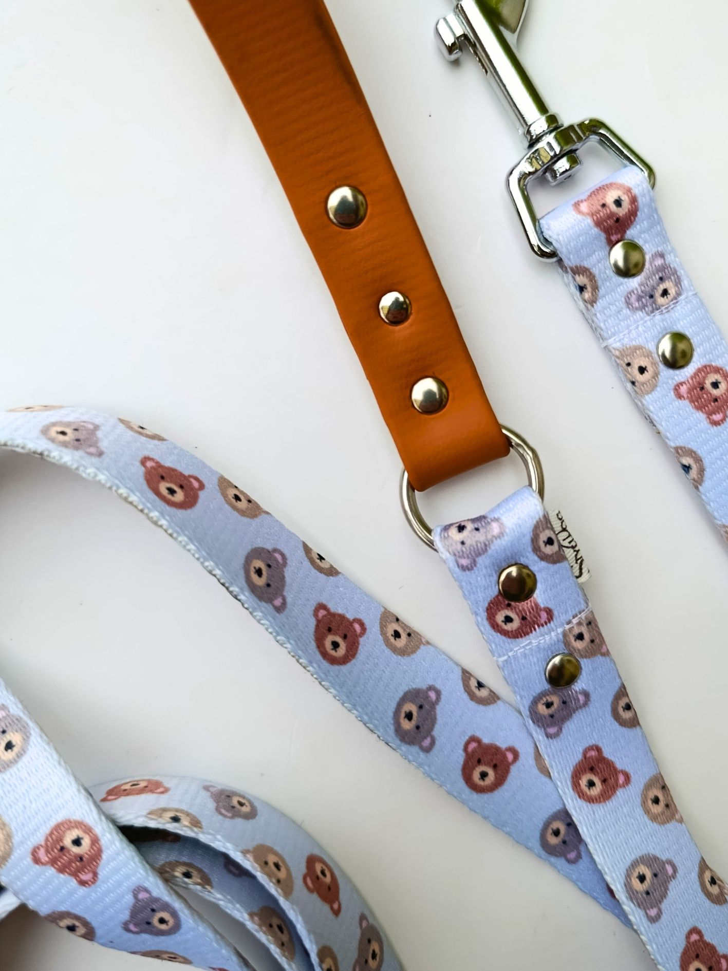 Laisse pour chien motif tête dours Stylidog