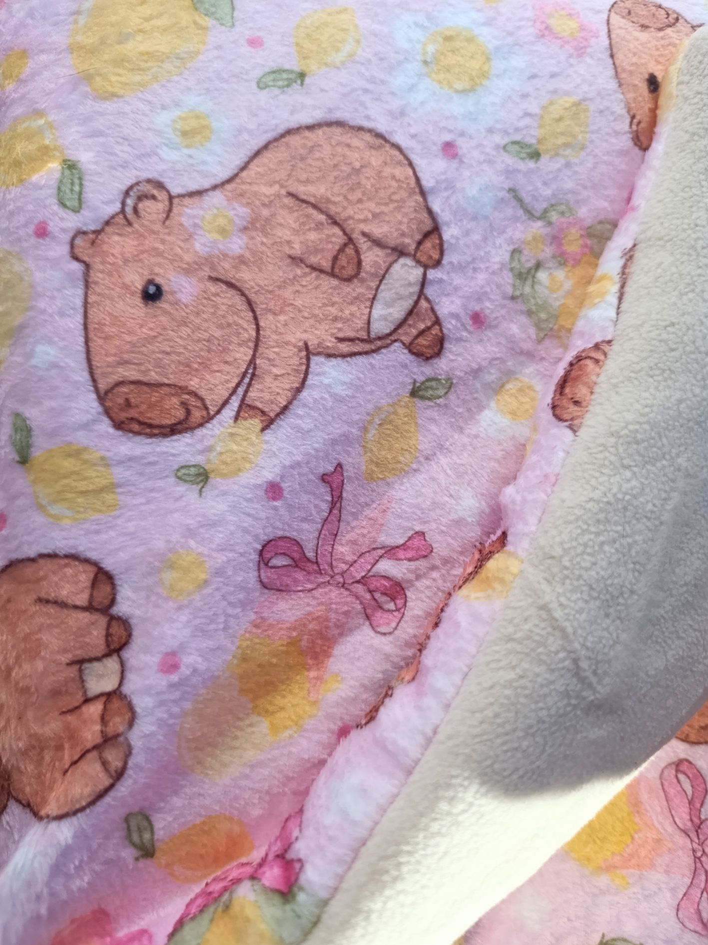 Plaid pour chien motif rongeur