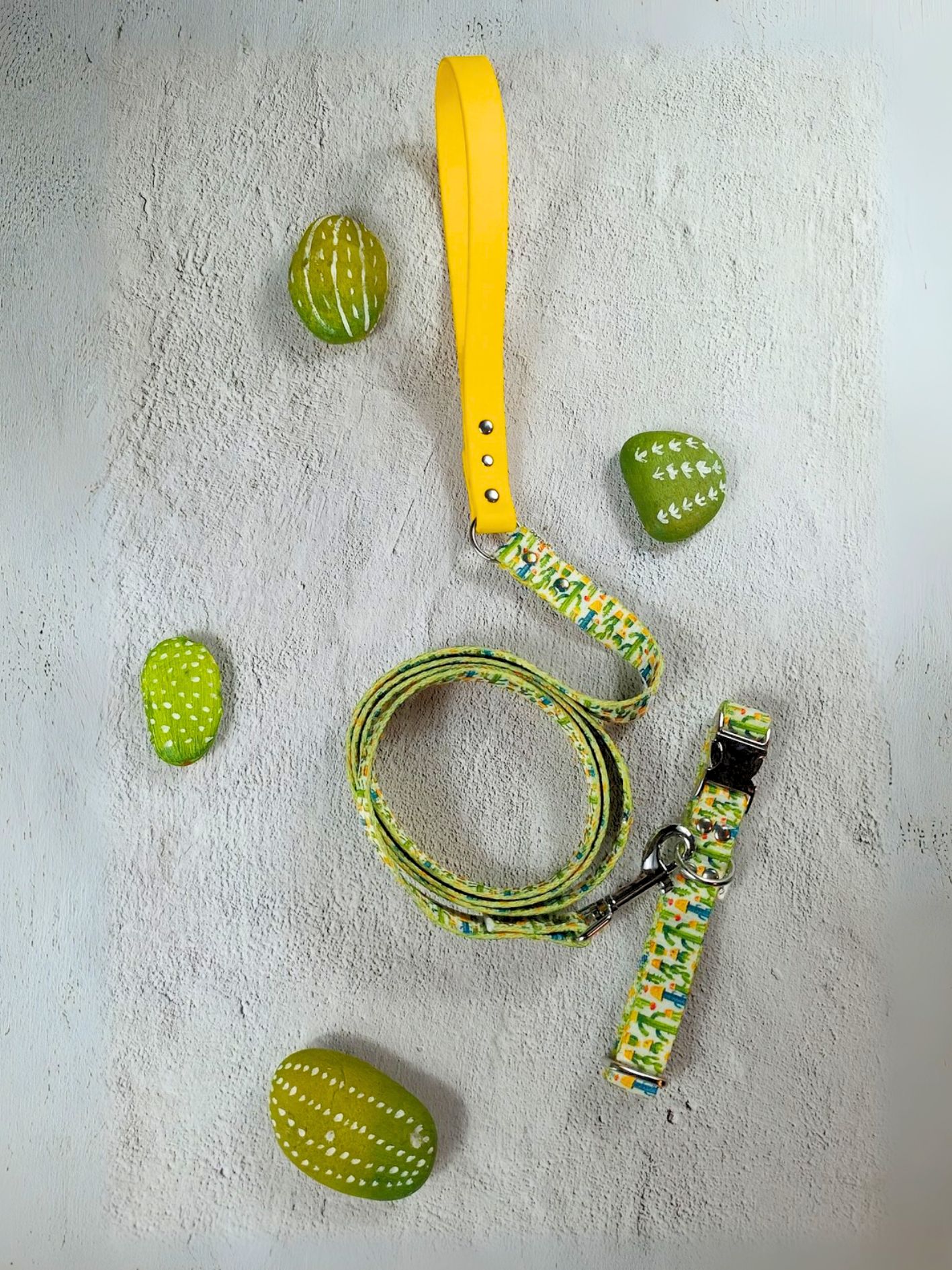 Collier pour chien cactus stylidog