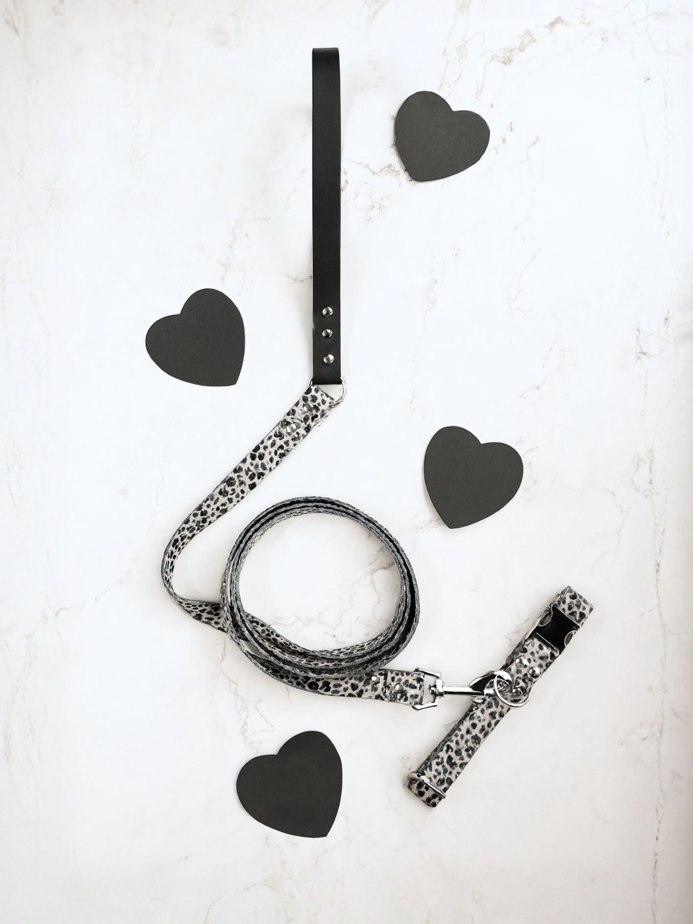 collier pour chien chic