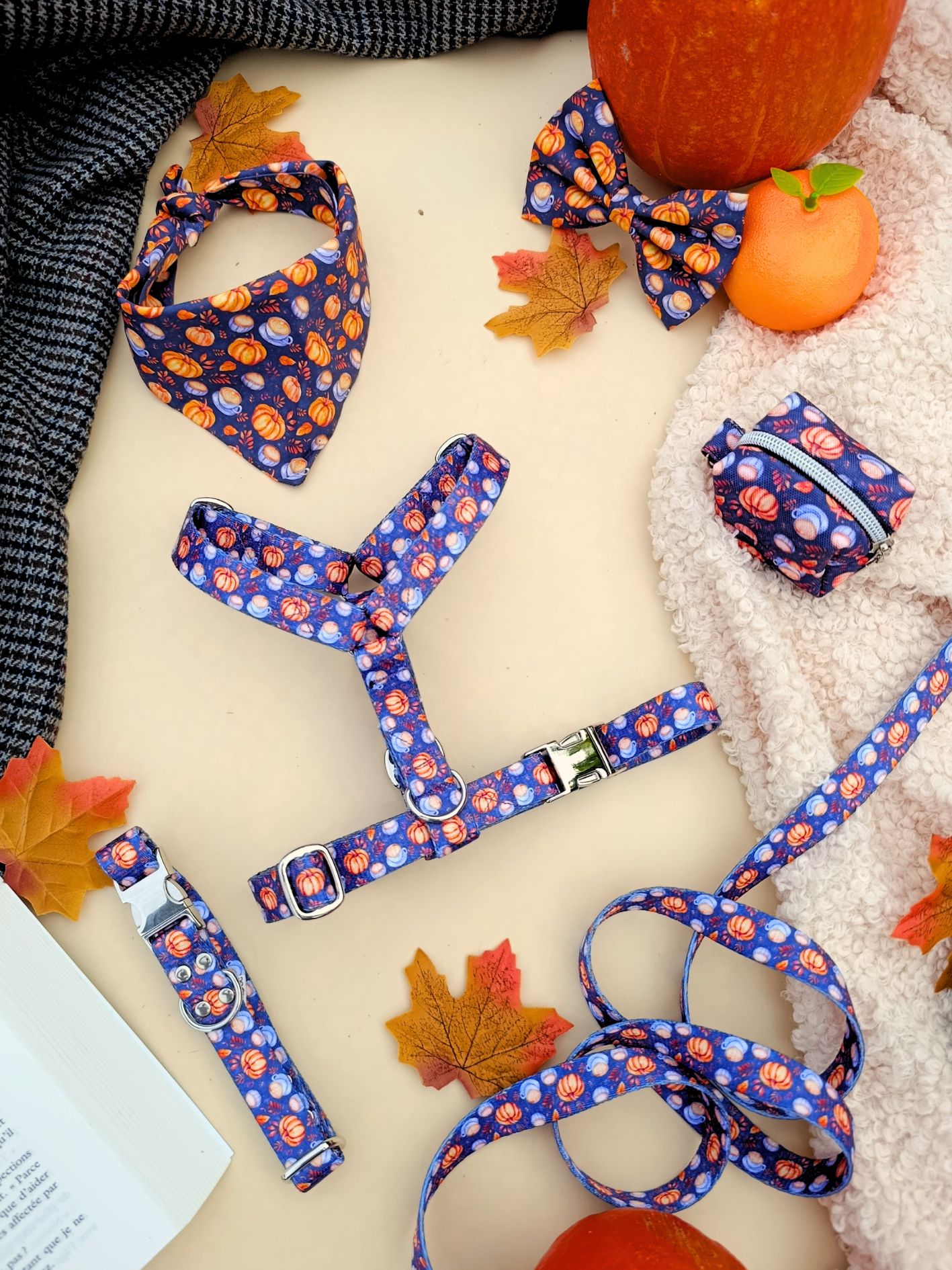 accessoire pour chien motif citrouille