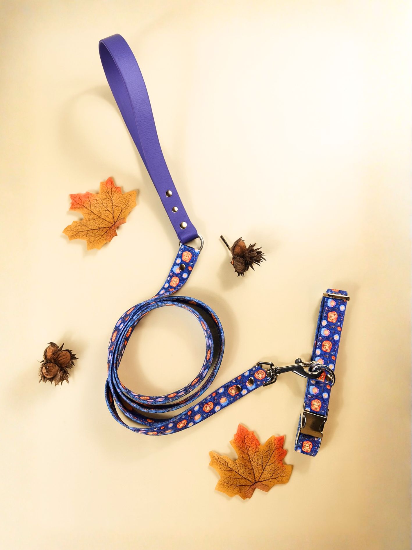 accessoire pour chien motif citrouille