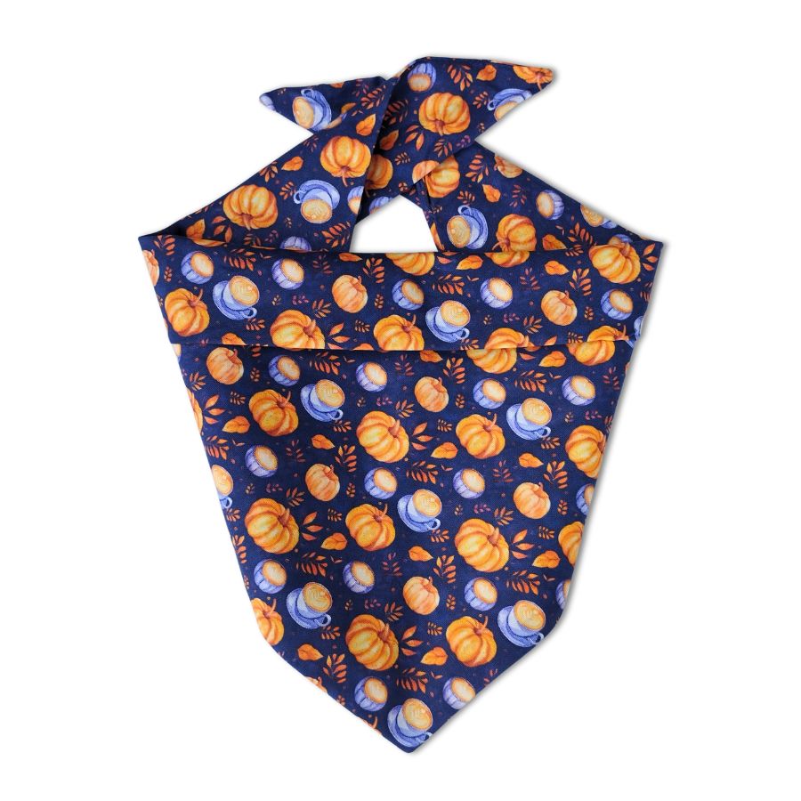 ADOGGYGO Lot De 4 Bandanas D'Halloween Pour Chien, Citrouille