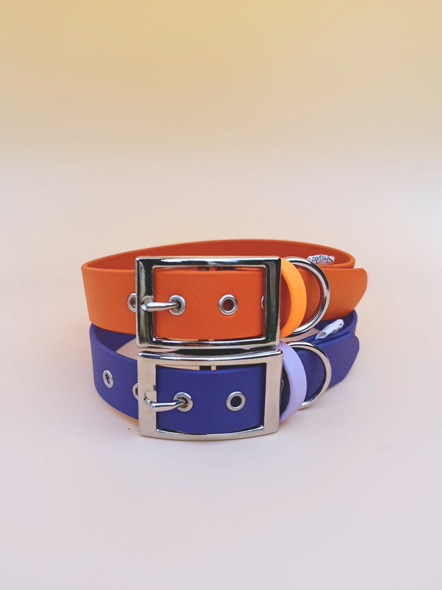 collier biothane pour chien
