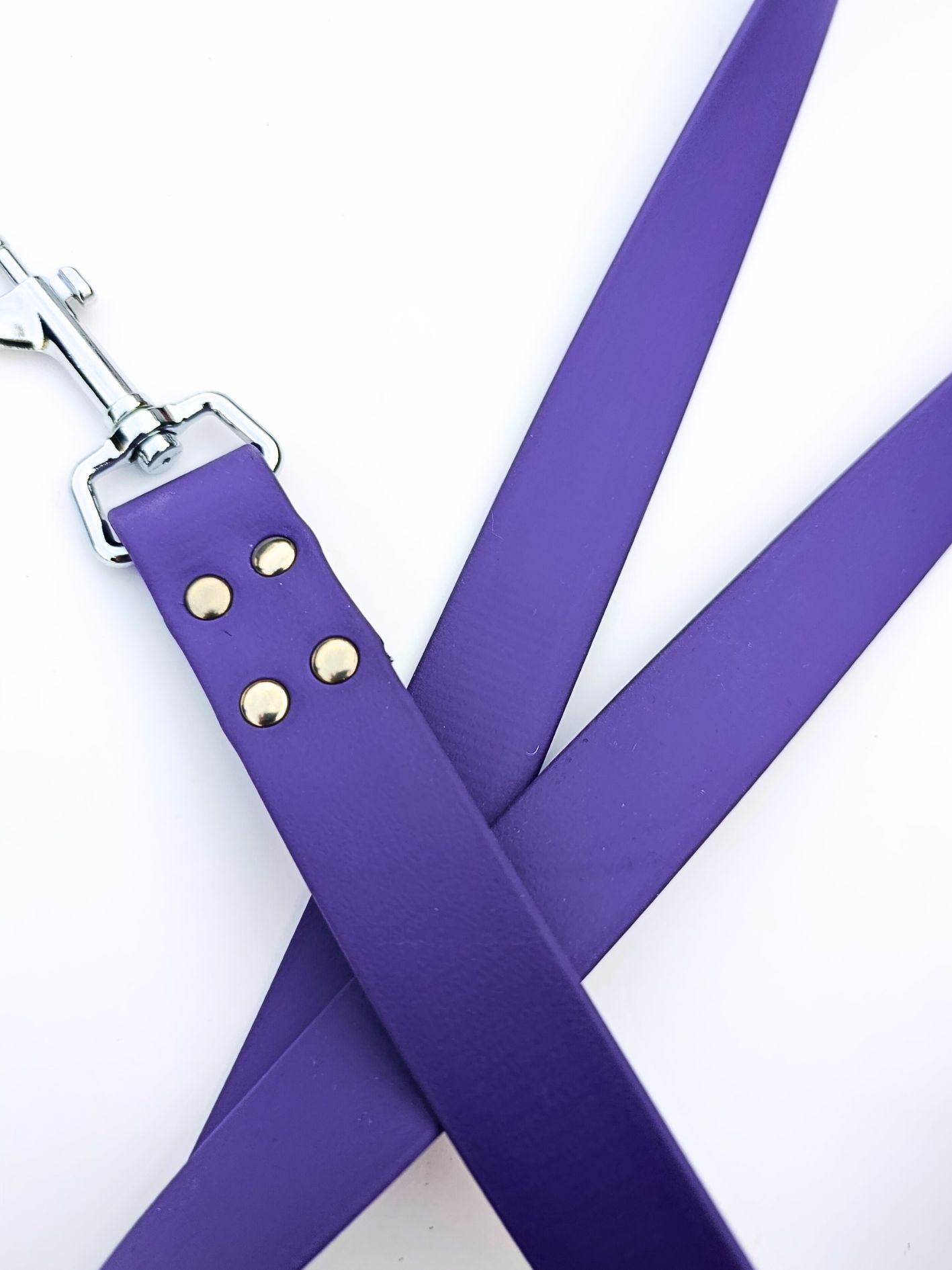 Laisse biothane violet foncé
