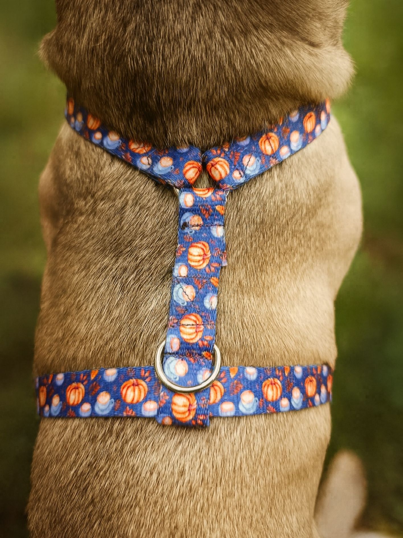 Harnais Stylidog Coffee Paw (2)
