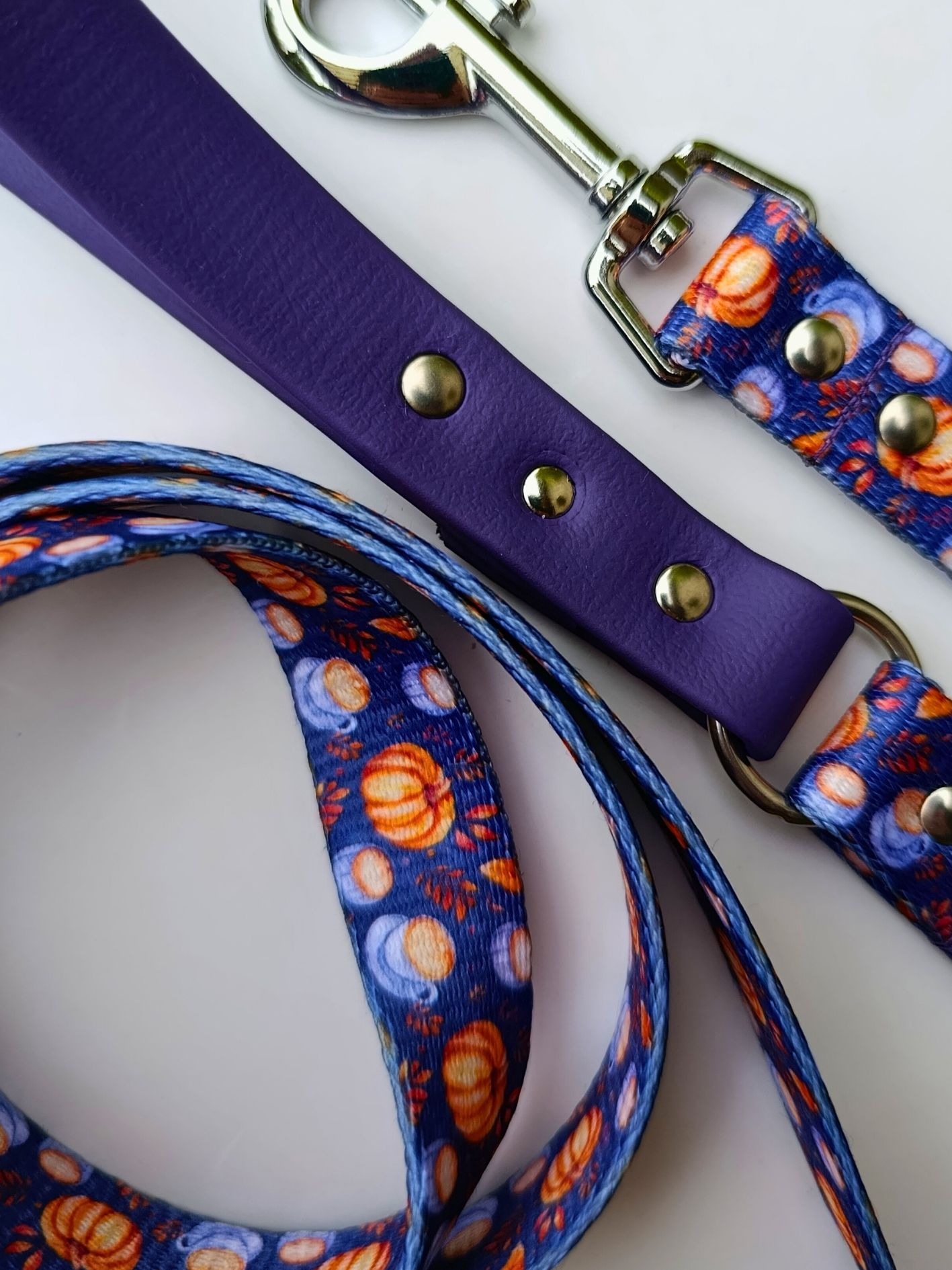 Laisse pour chien Stylidog - CoffePaw (2)