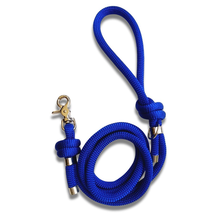 Laisse en corde bleu électrique pour chien – Artisanale, résistante & made in France