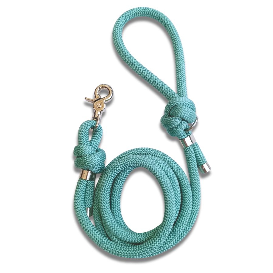 Laisse en corde vert pastel pour chien – Artisanale, résistante & made in France