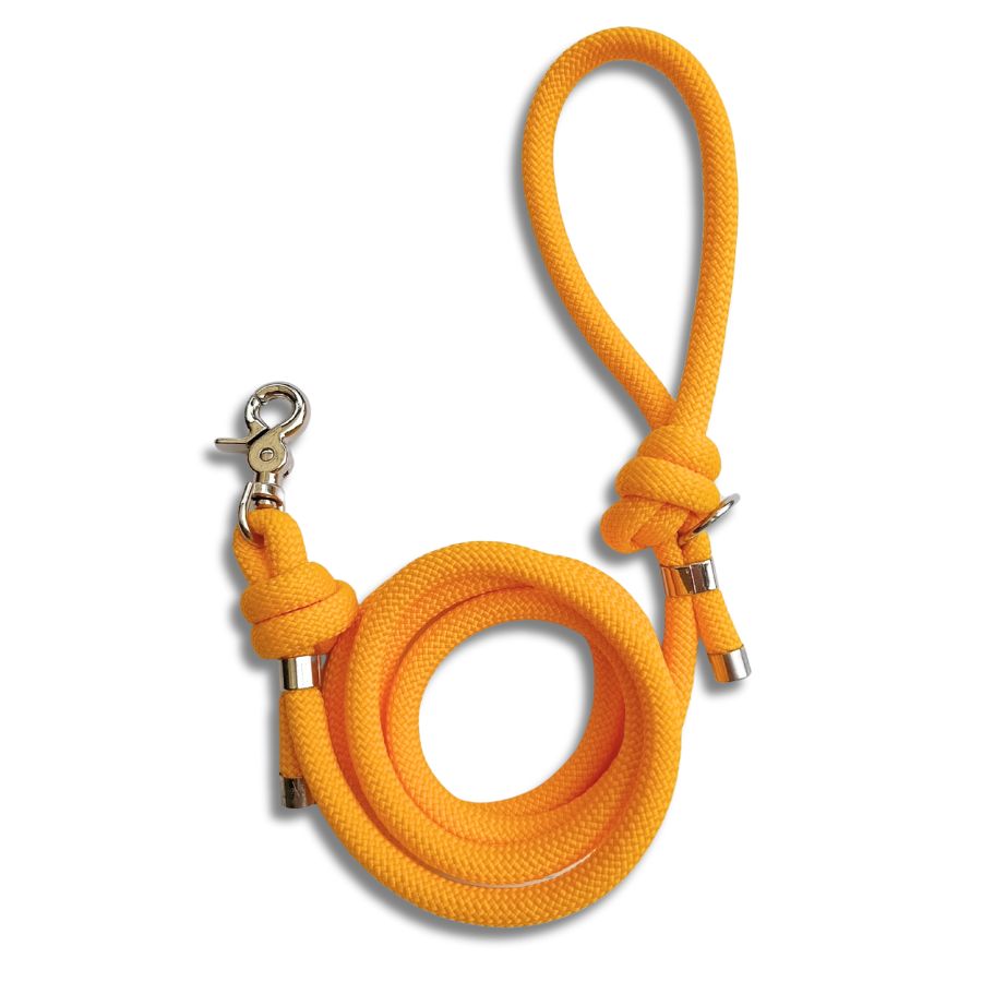 Laisse en corde jaune pour chien – Artisanale, résistante & made in France
