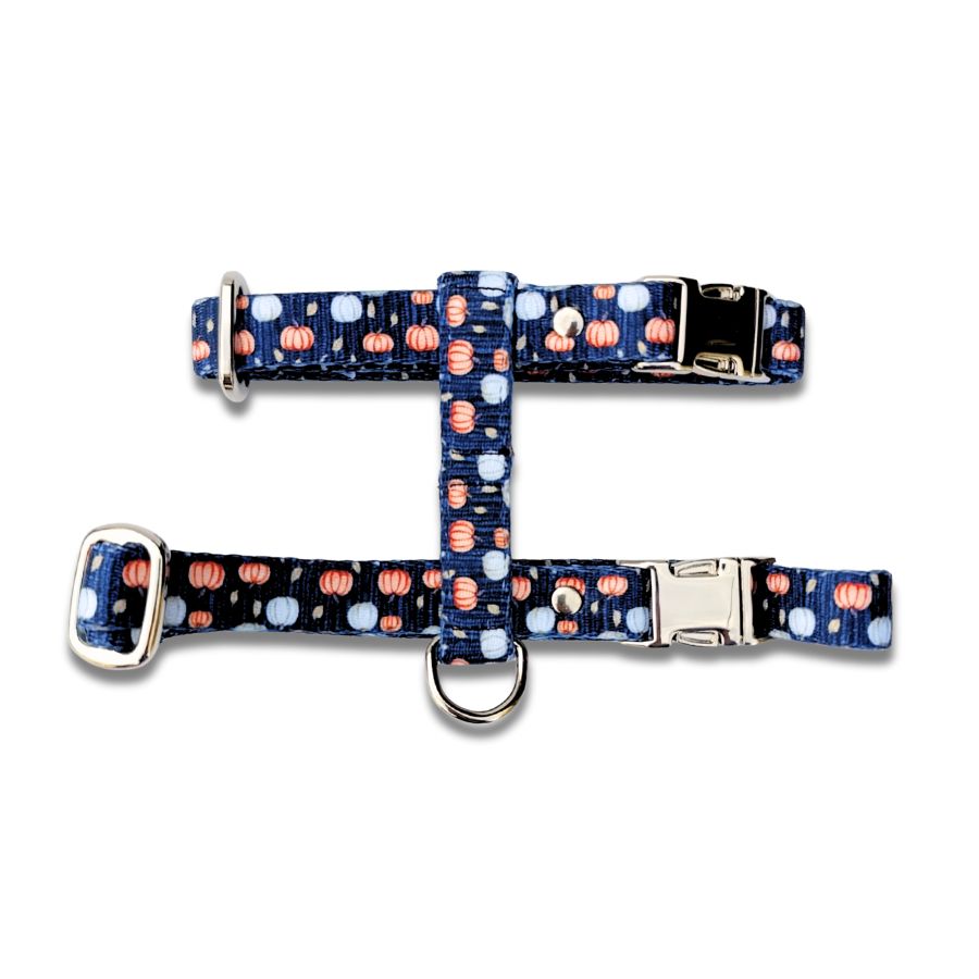 Harnais pour chat motif citrouille – Fabriqué en France pour balades stylées