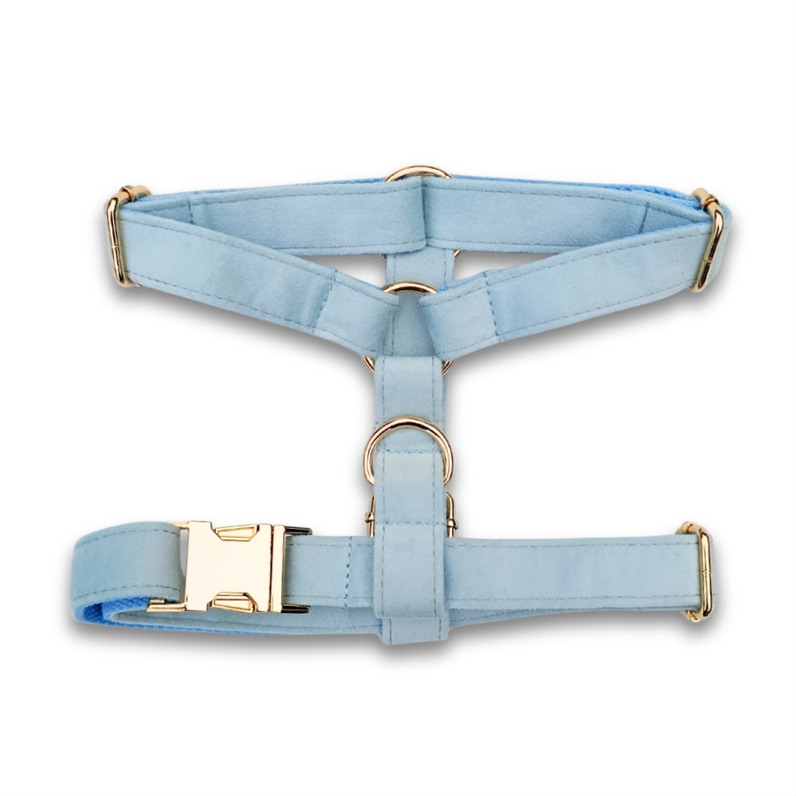 Harnais pour chien en velours lisse bleu bébé
