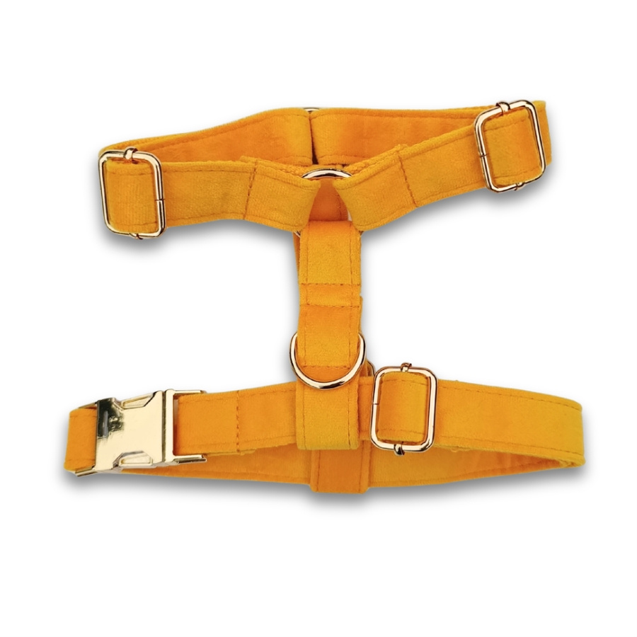 Harnais pour chien en velours lisse jaune
