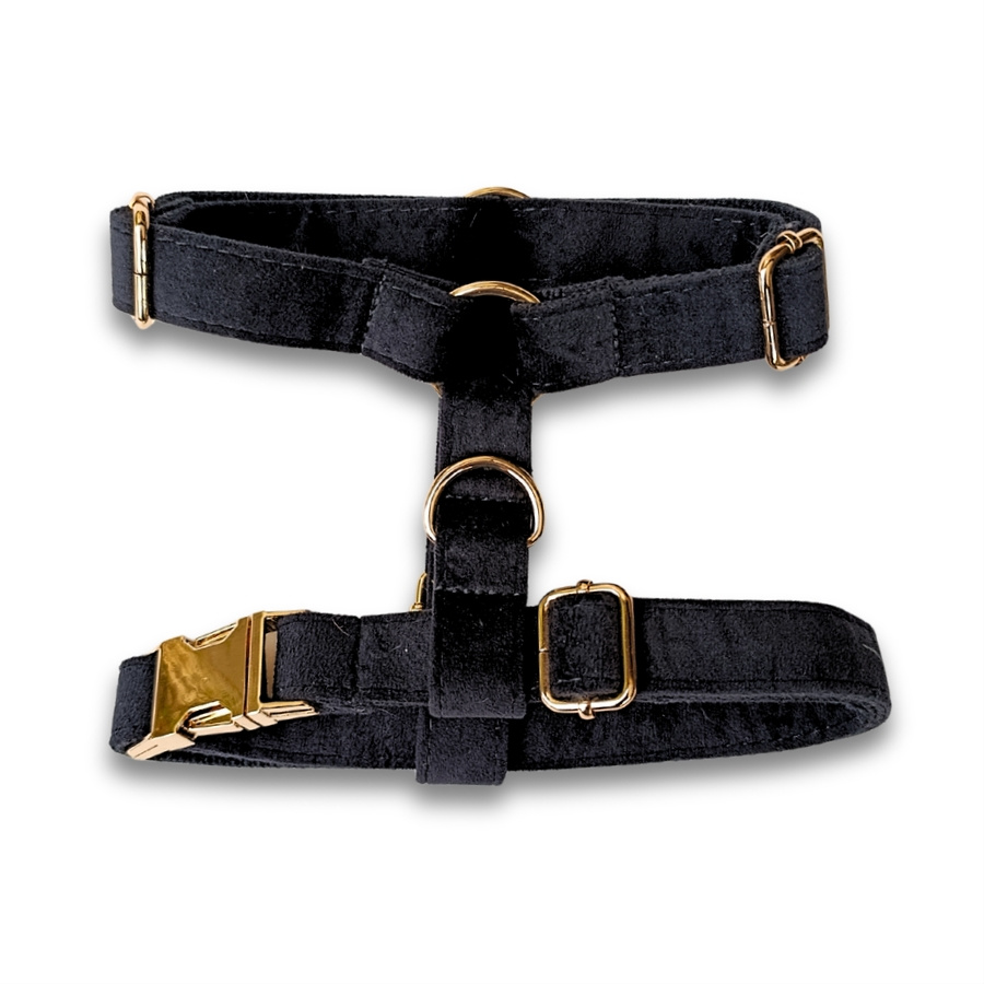 Harnais pour chien en velours lisse noir