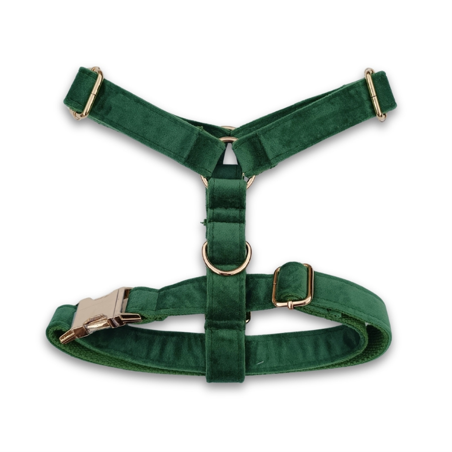 Harnais pour chien en velours lisse vert sapin