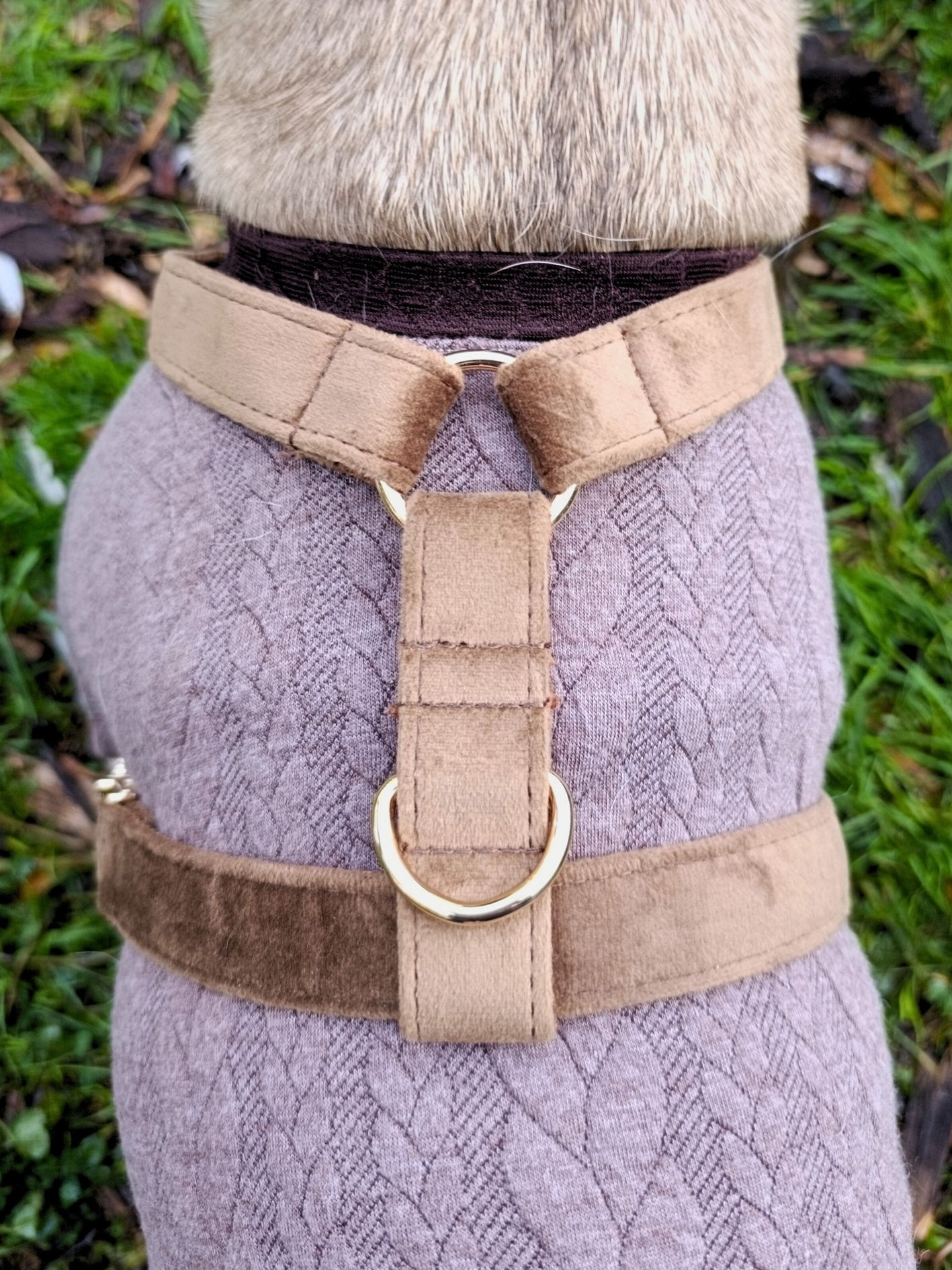 harnais stylidog