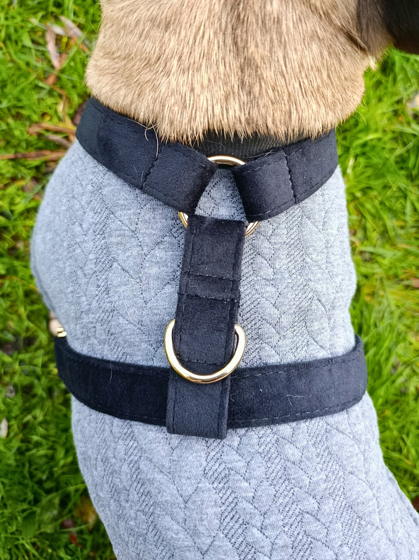 pull harnais stylidog