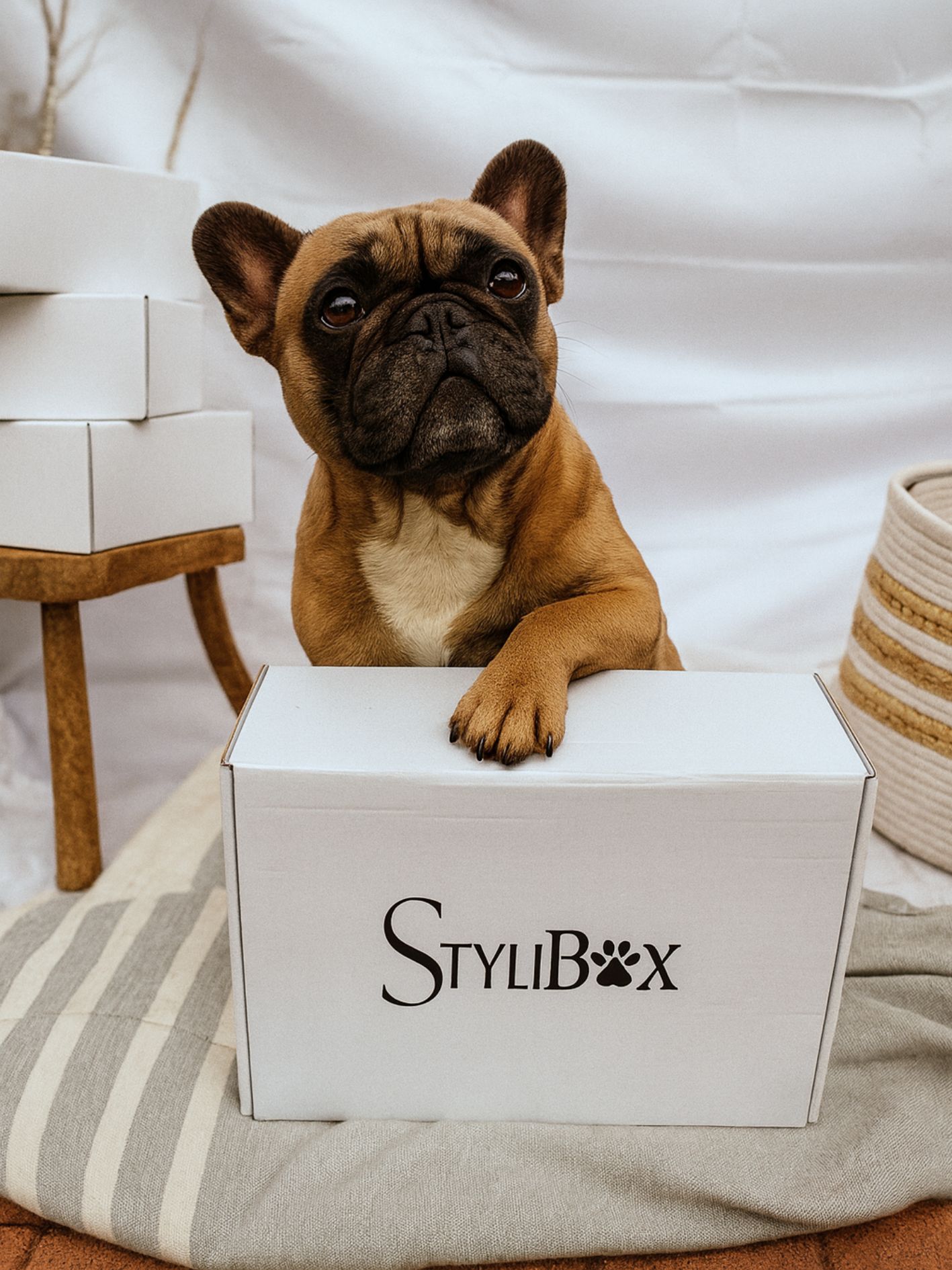 STYLIBOX