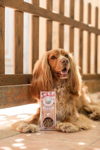 Friandise chien B 3