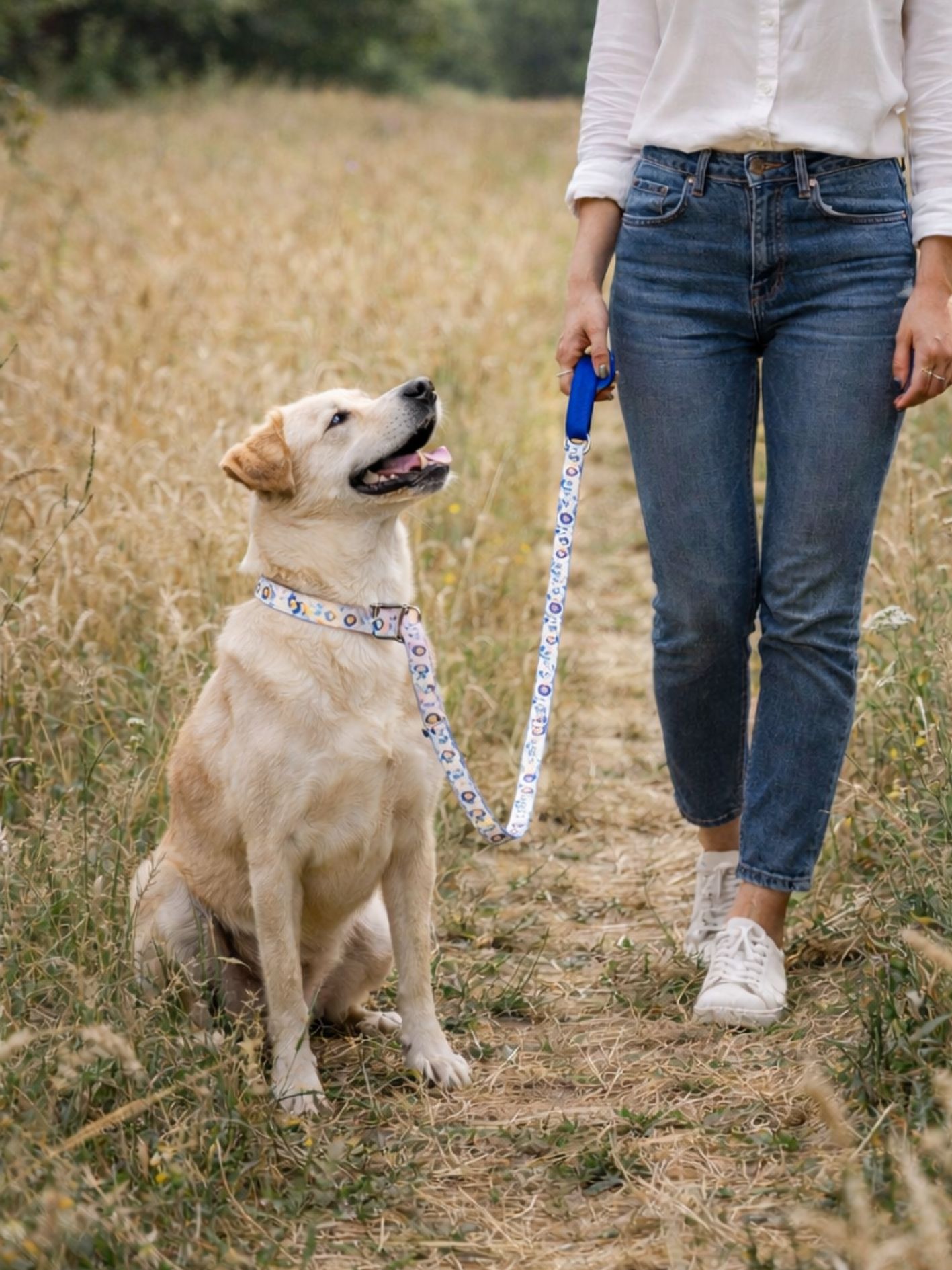 ballade stylidog
