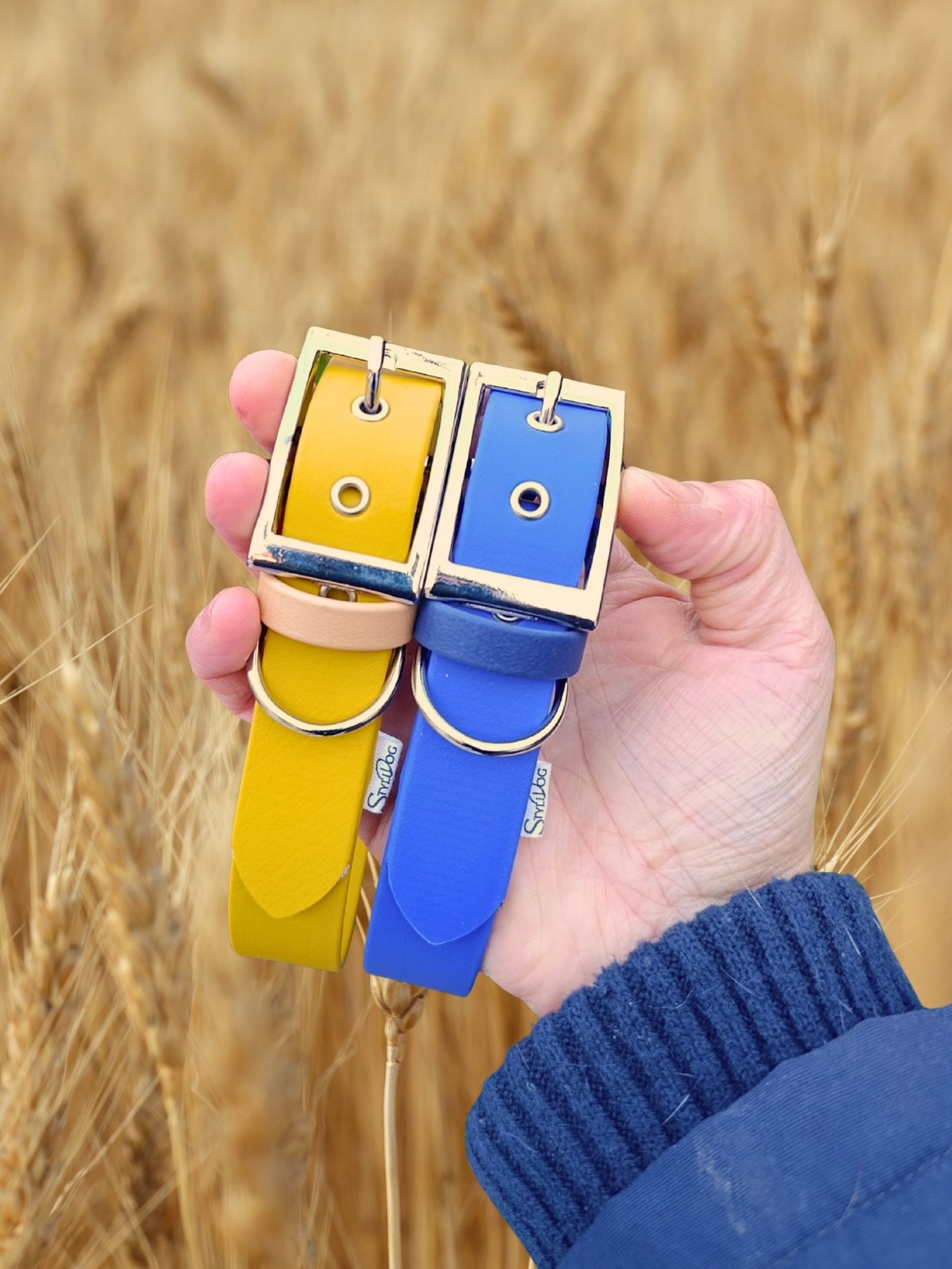 Collier pour chien biothane
