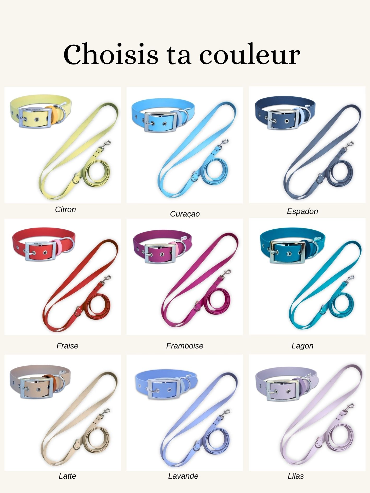 pack balade biothane stylidog