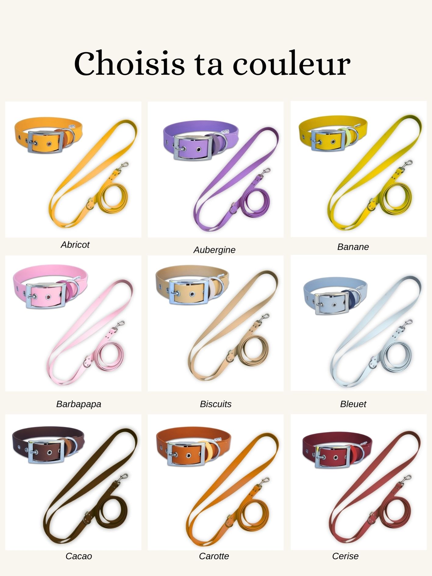 pack balade biothane stylidog