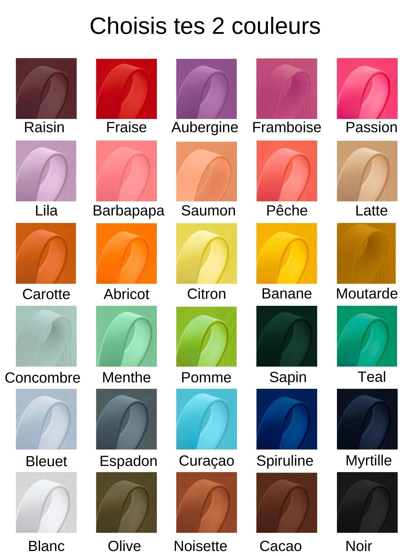 couleur biothane pour chien