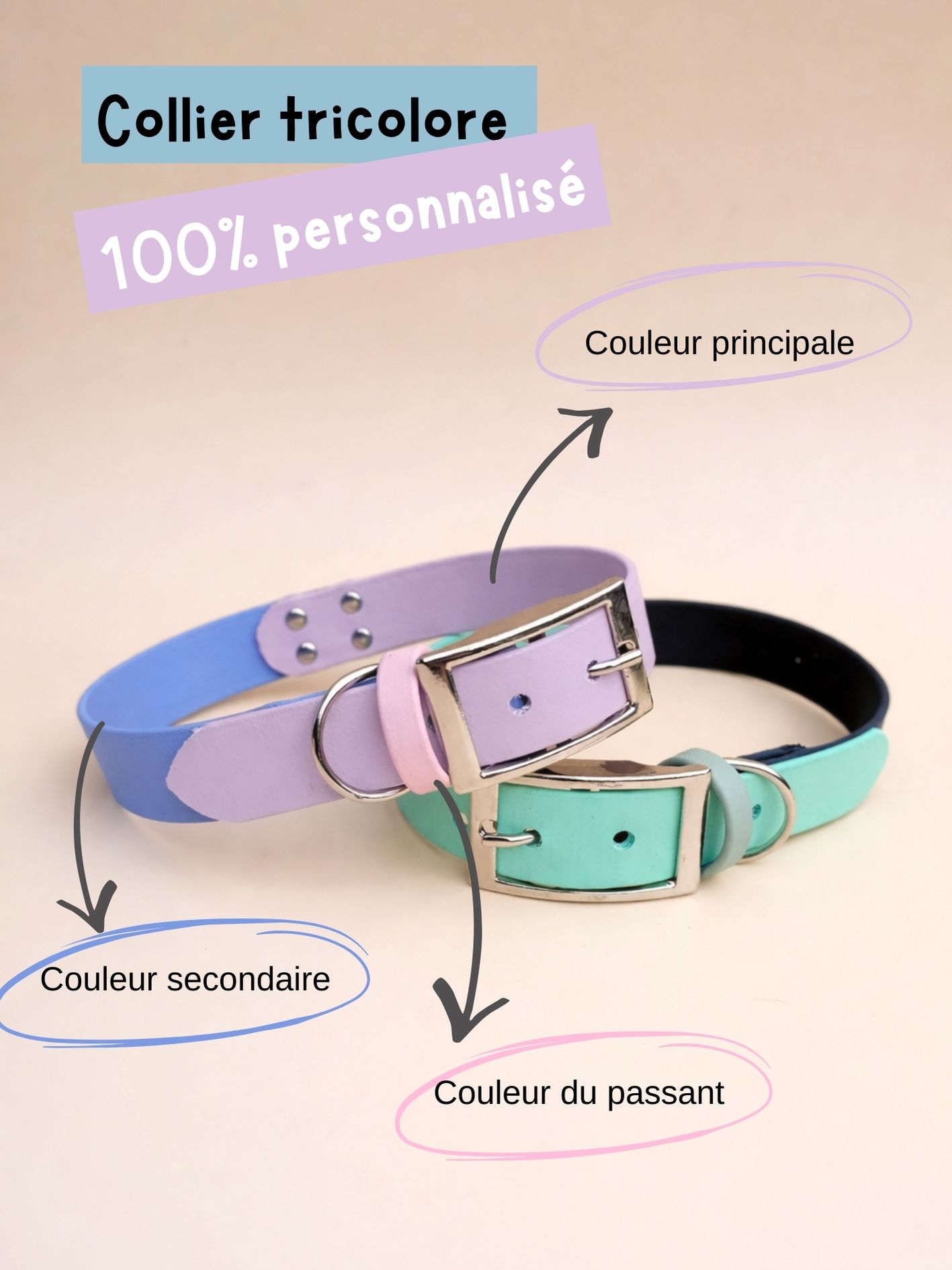 Collier personnalisé pour chien