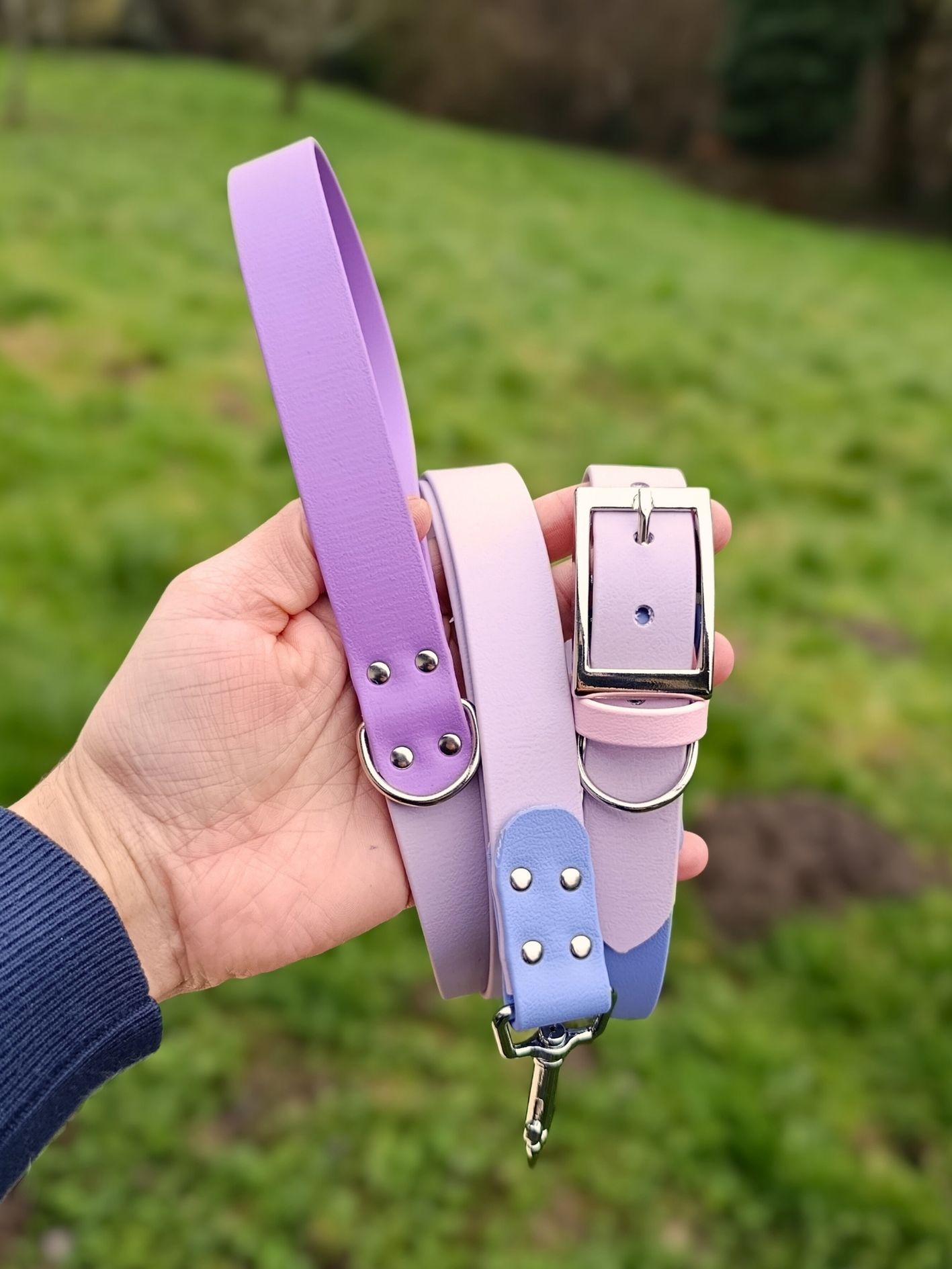 Collier personnalisé pour chien
