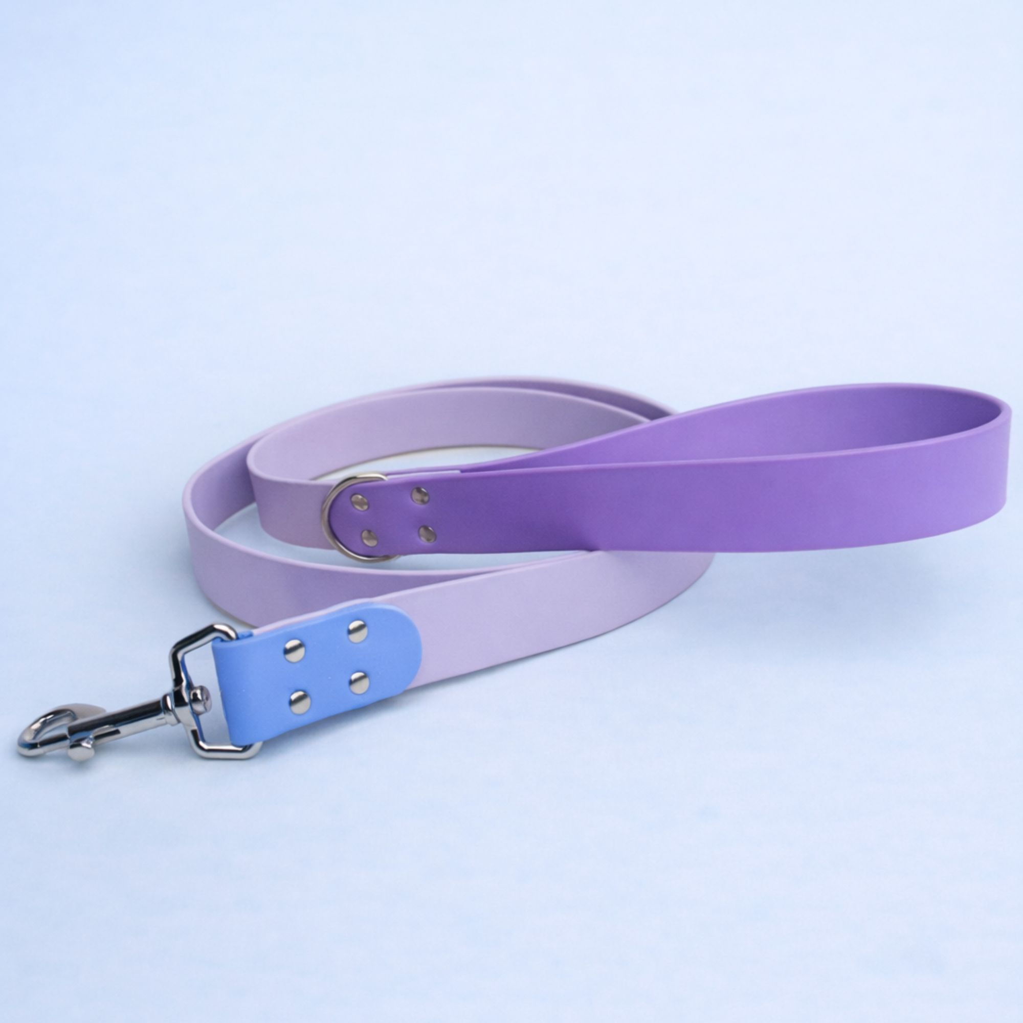 Laisse pour chien personnalisable en biothane tricolore – 150cm