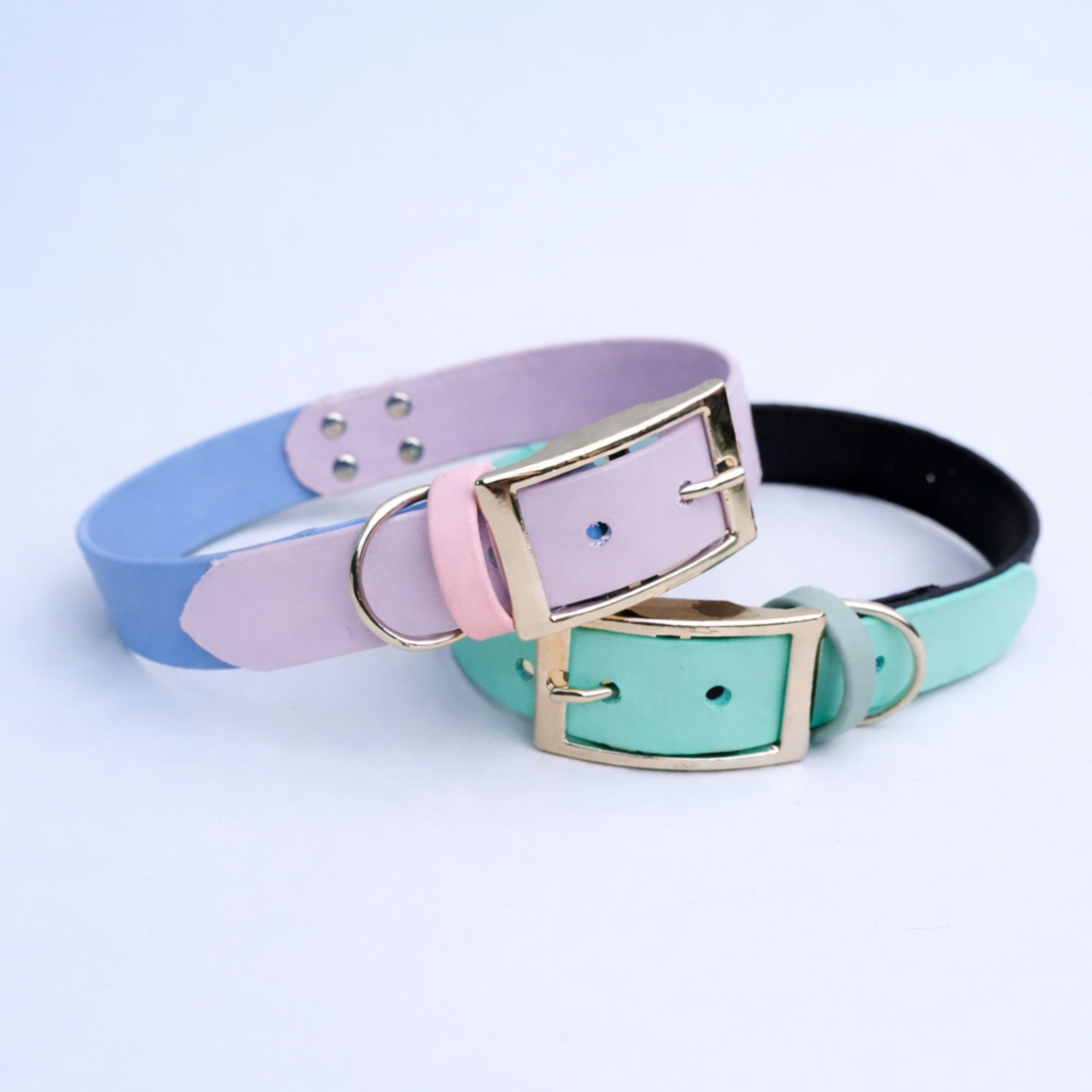 collier pour chien personnalisé