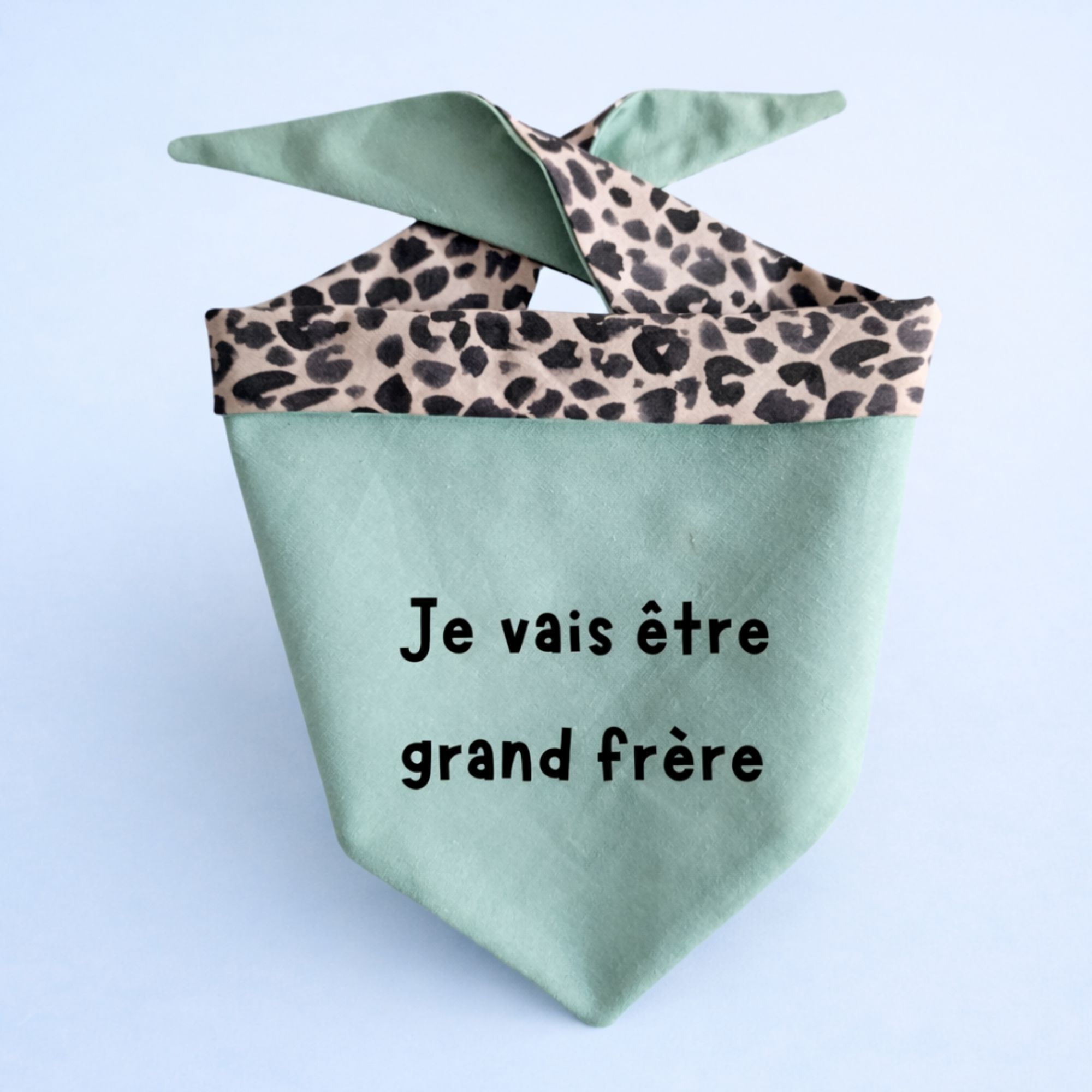 Bandana personnalisé pour chien, grande annonce - Stylidog
