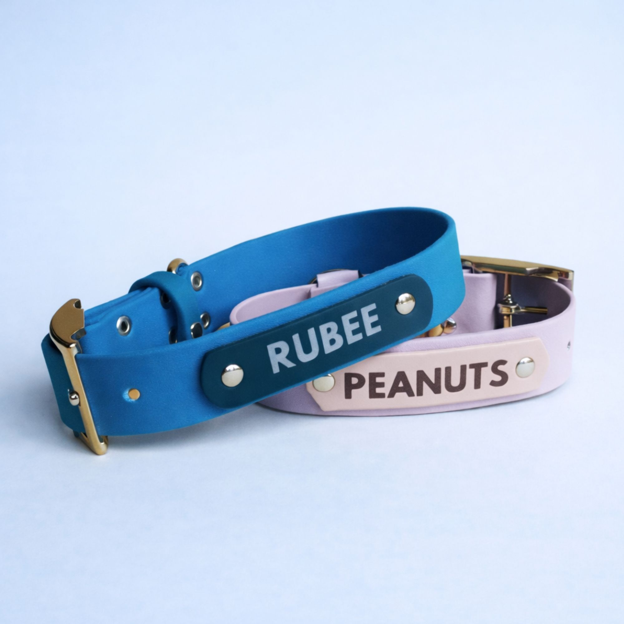 Collier pour chien personnalisé avec son prénom